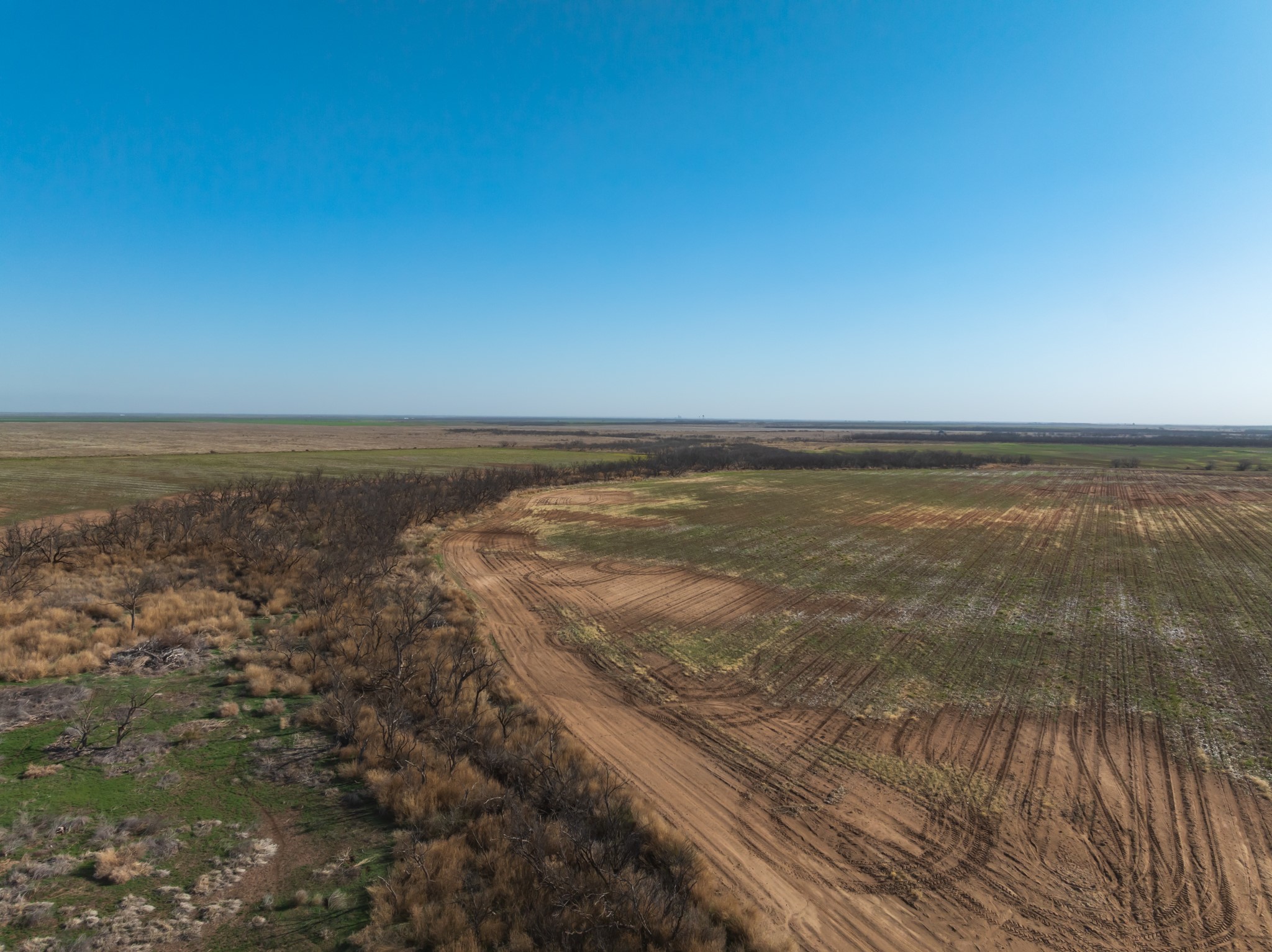 Tbd Cr 262 Mccaulley TX 79534