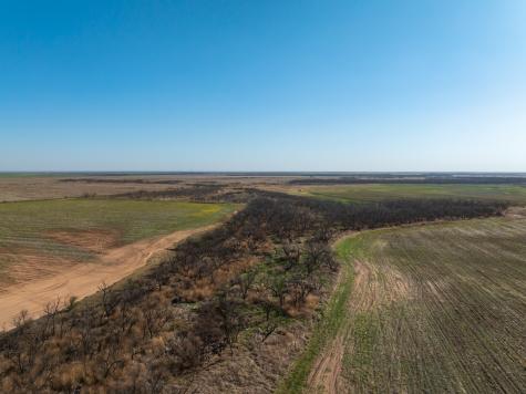 Tbd Cr 262 Mccaulley TX 79534