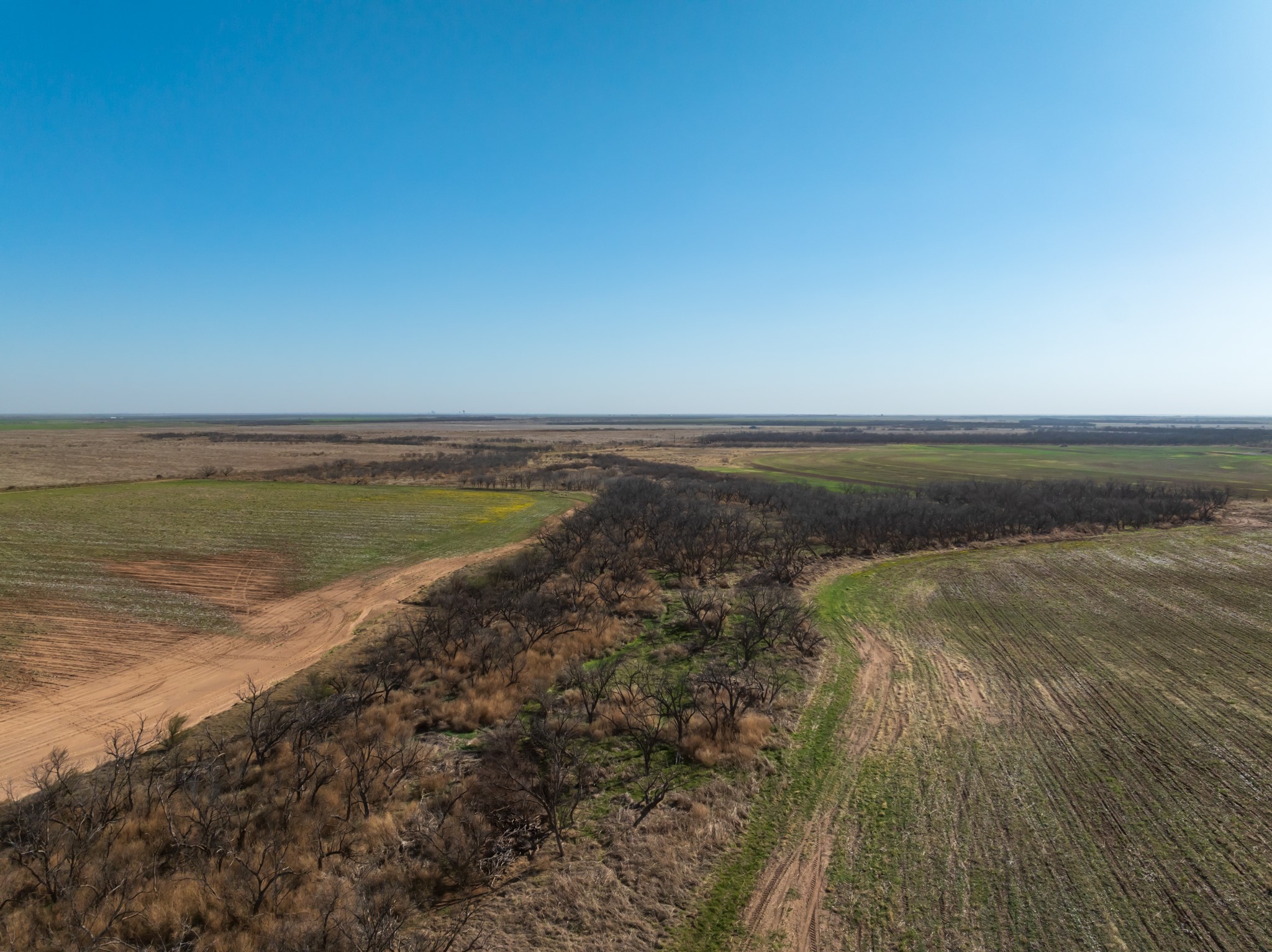 Tbd Cr 262 Mccaulley TX 79534