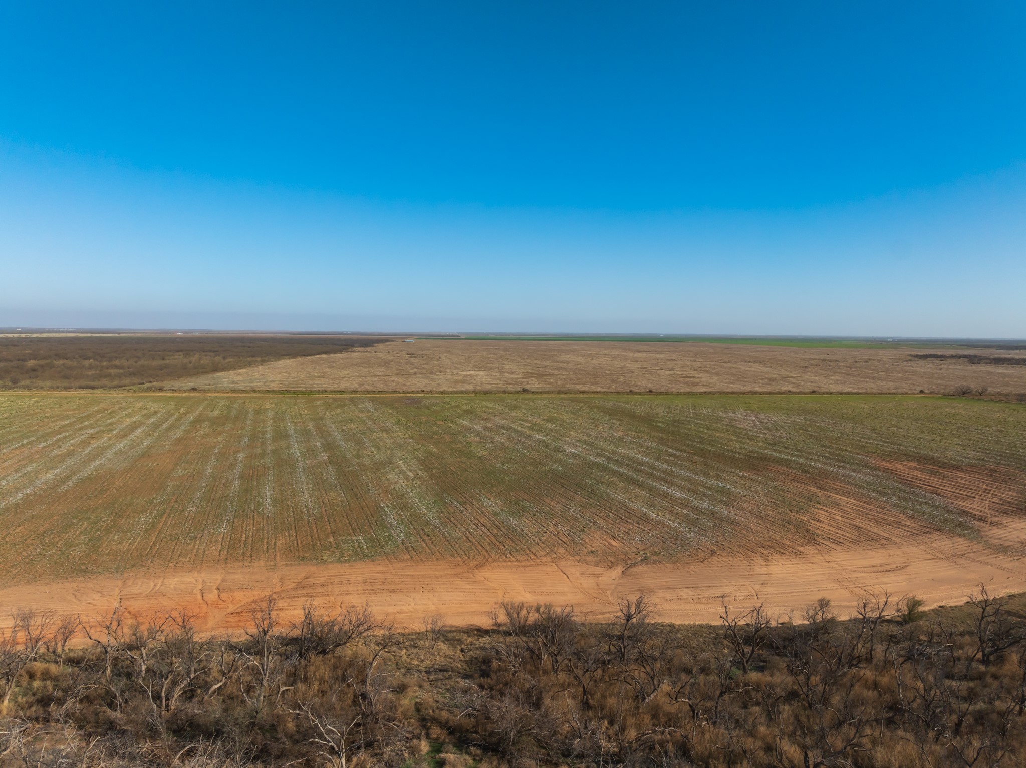 Tbd Cr 262 Mccaulley TX 79534