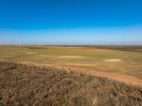 TBD Cr 262 McCaulley TX 79534