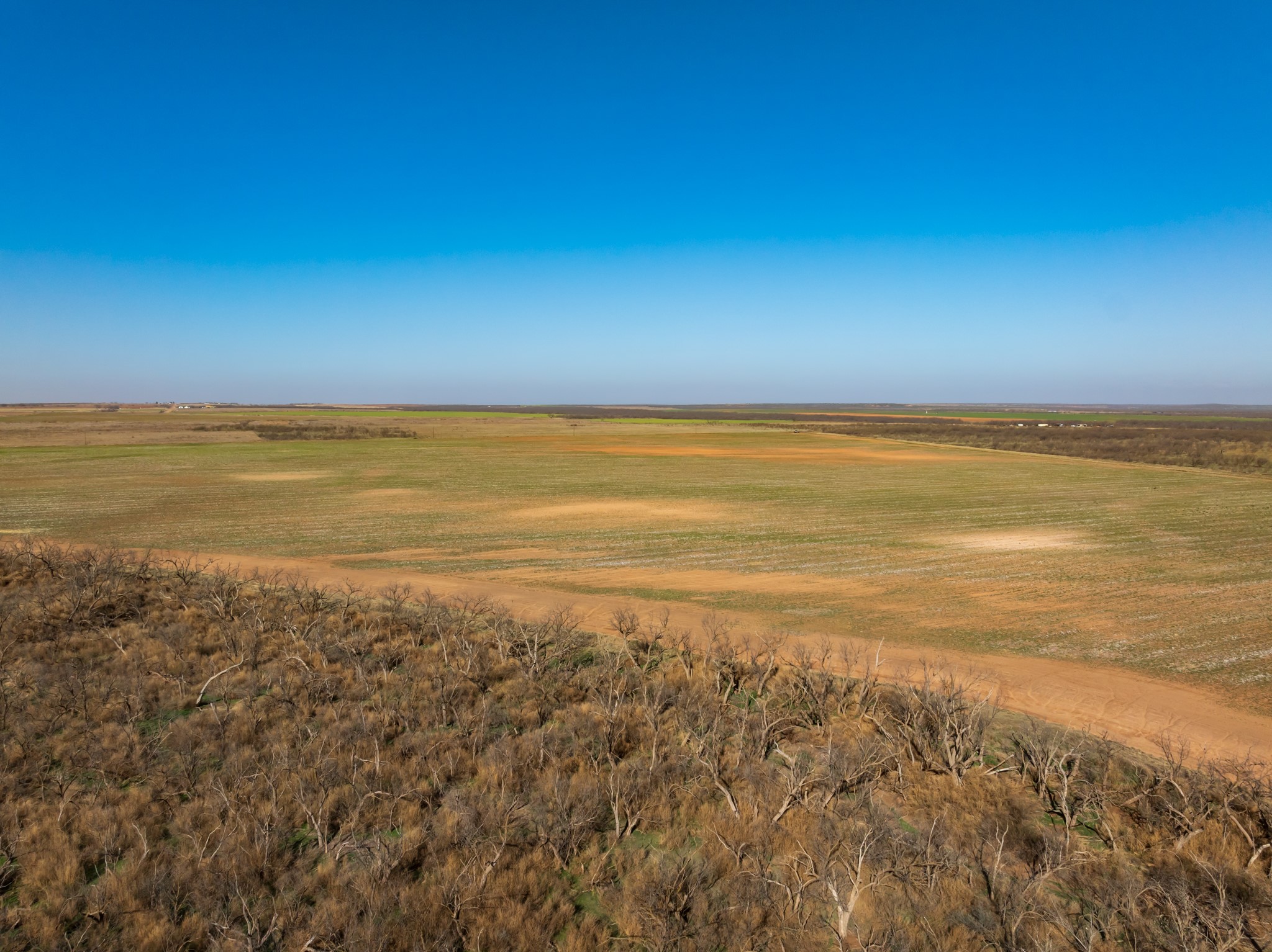 Tbd Cr 262 Mccaulley TX 79534