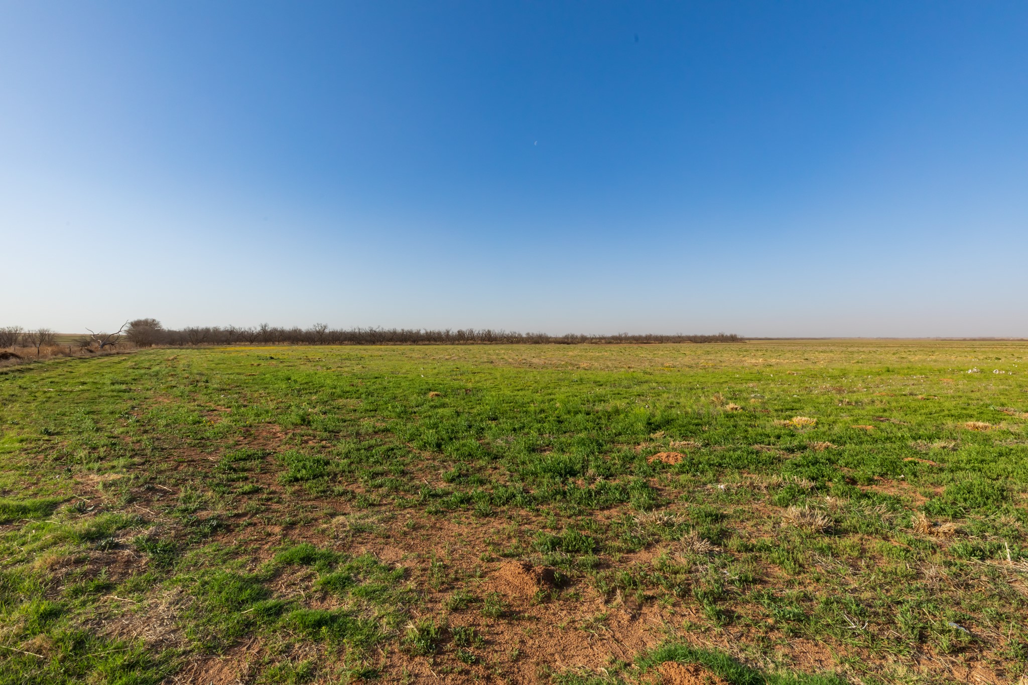 Tbd Cr 262 Mccaulley TX 79534