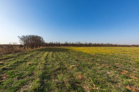 Tbd Cr 262 Mccaulley TX 79534