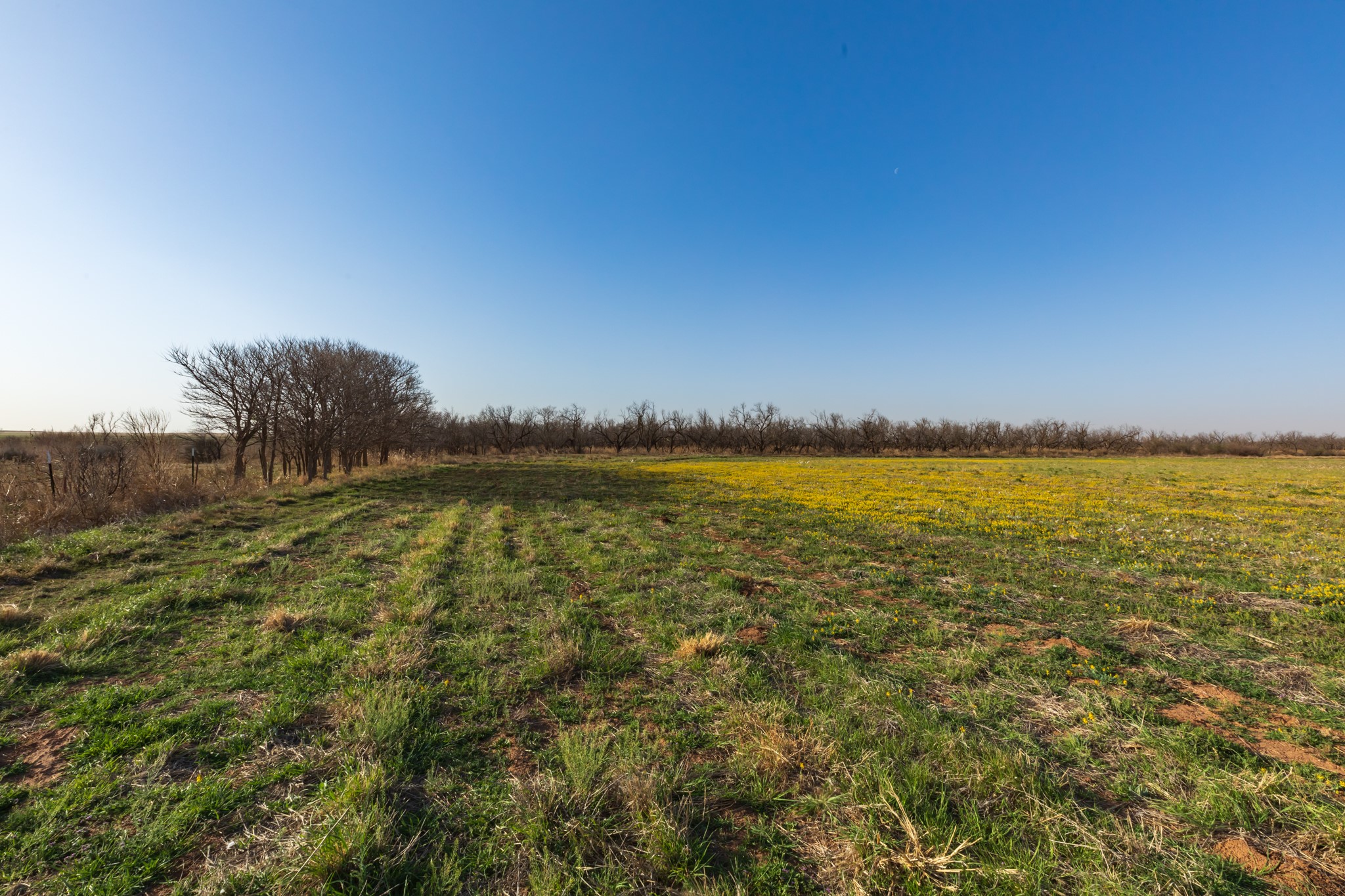 Tbd Cr 262 Mccaulley TX 79534