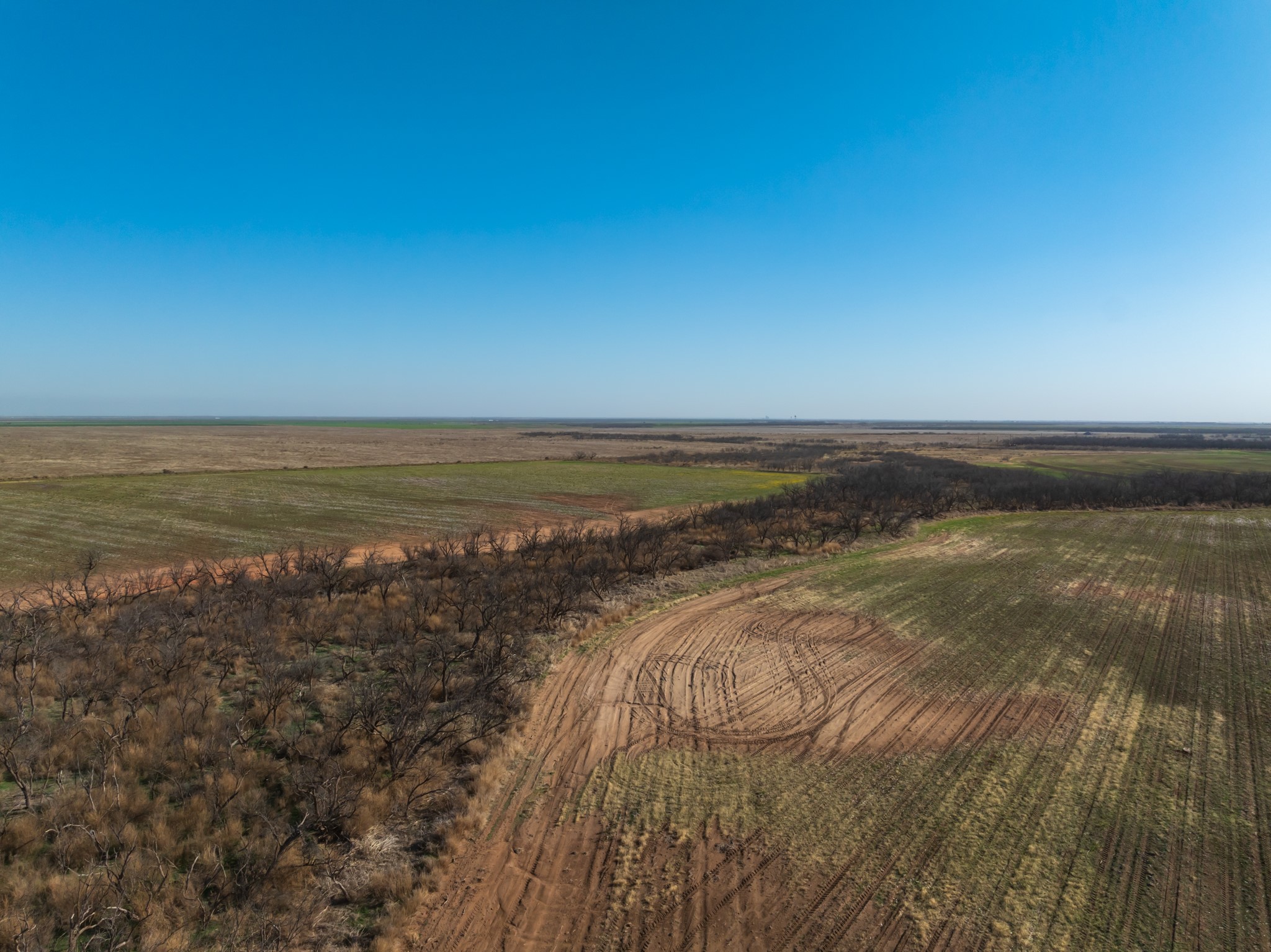 Tbd Cr 262 Mccaulley TX 79534