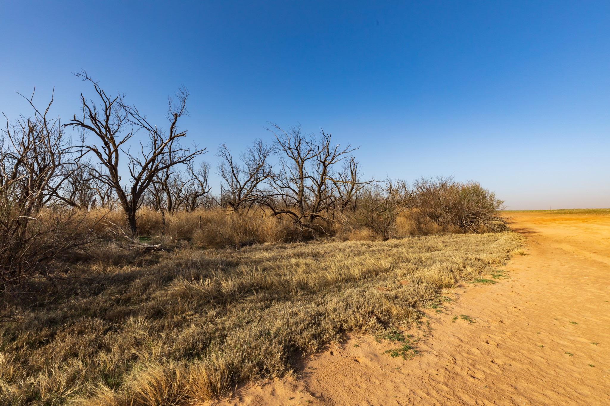 Tbd Cr 262 Mccaulley TX 79534