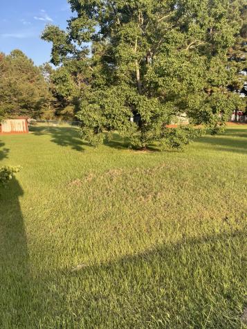41AND42 Lisa Lane Streetman TX 75859
