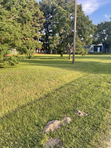 41AND42 Lisa Lane Streetman TX 75859