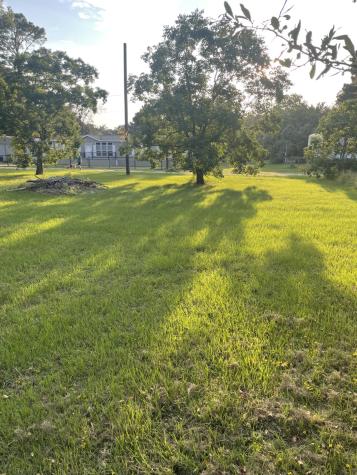 41AND42 Lisa Lane Streetman TX 75859