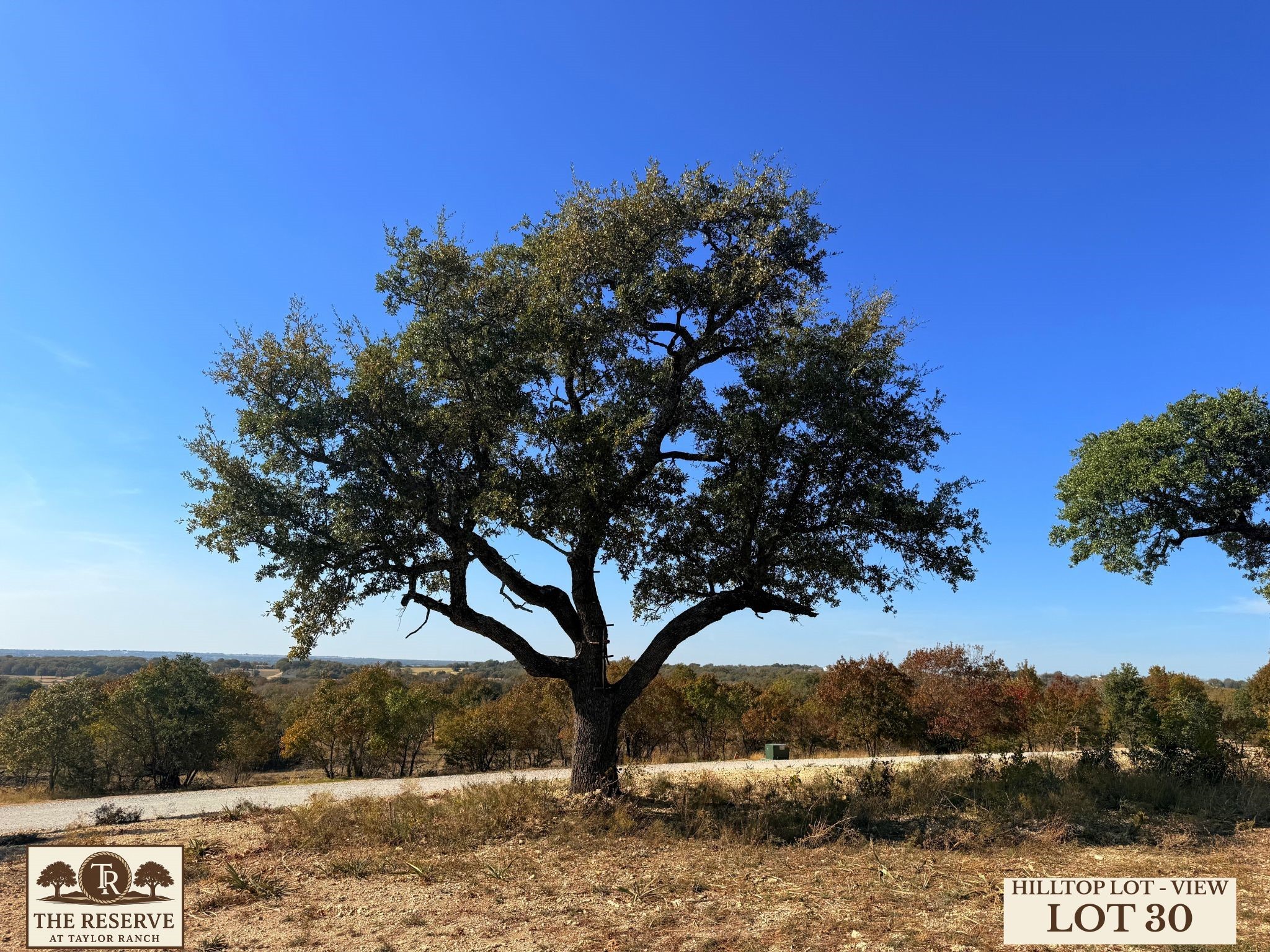 Lot 30 Colt Road Springtown TX 76082