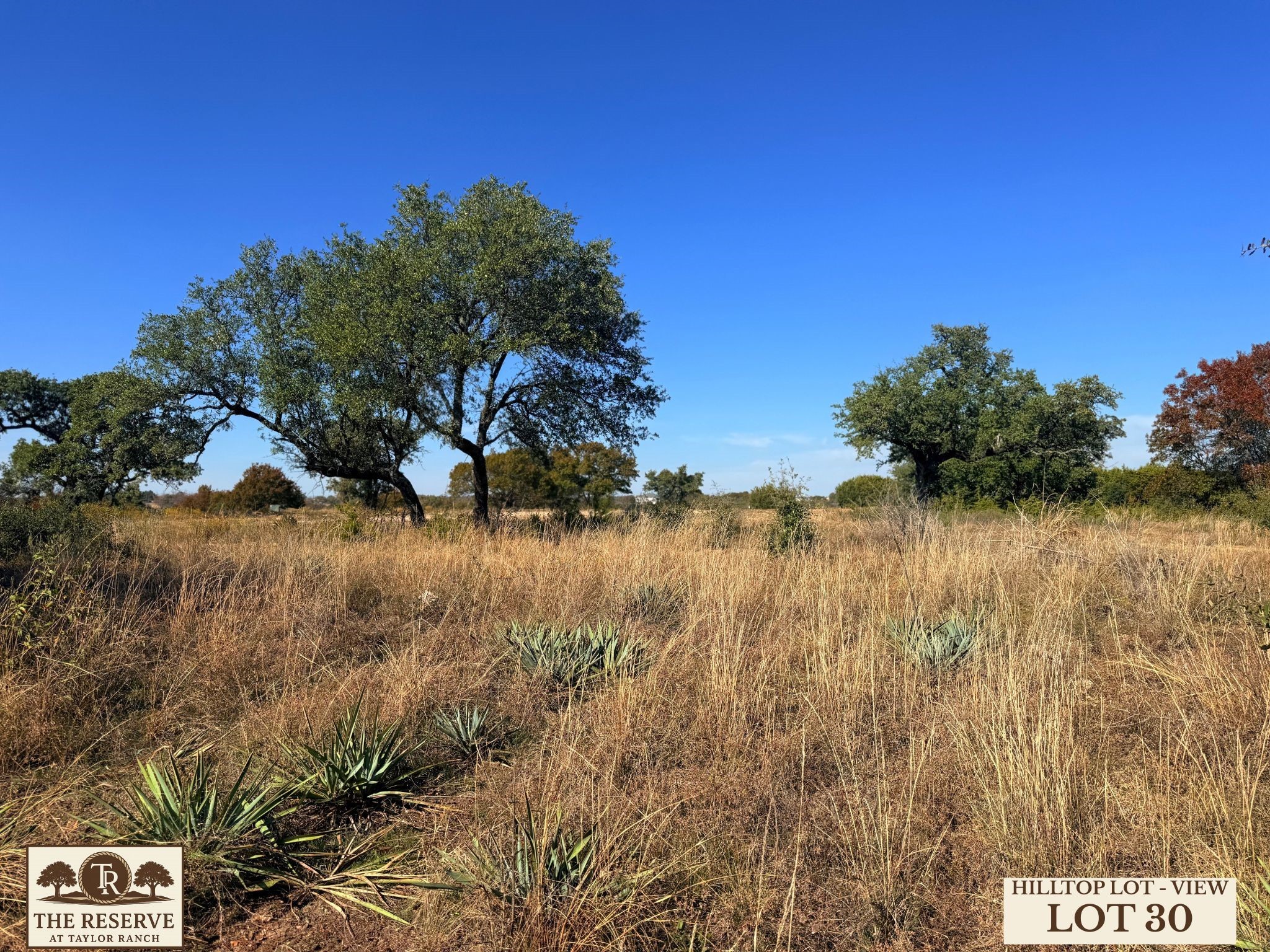Lot 30 Colt Road Springtown TX 76082
