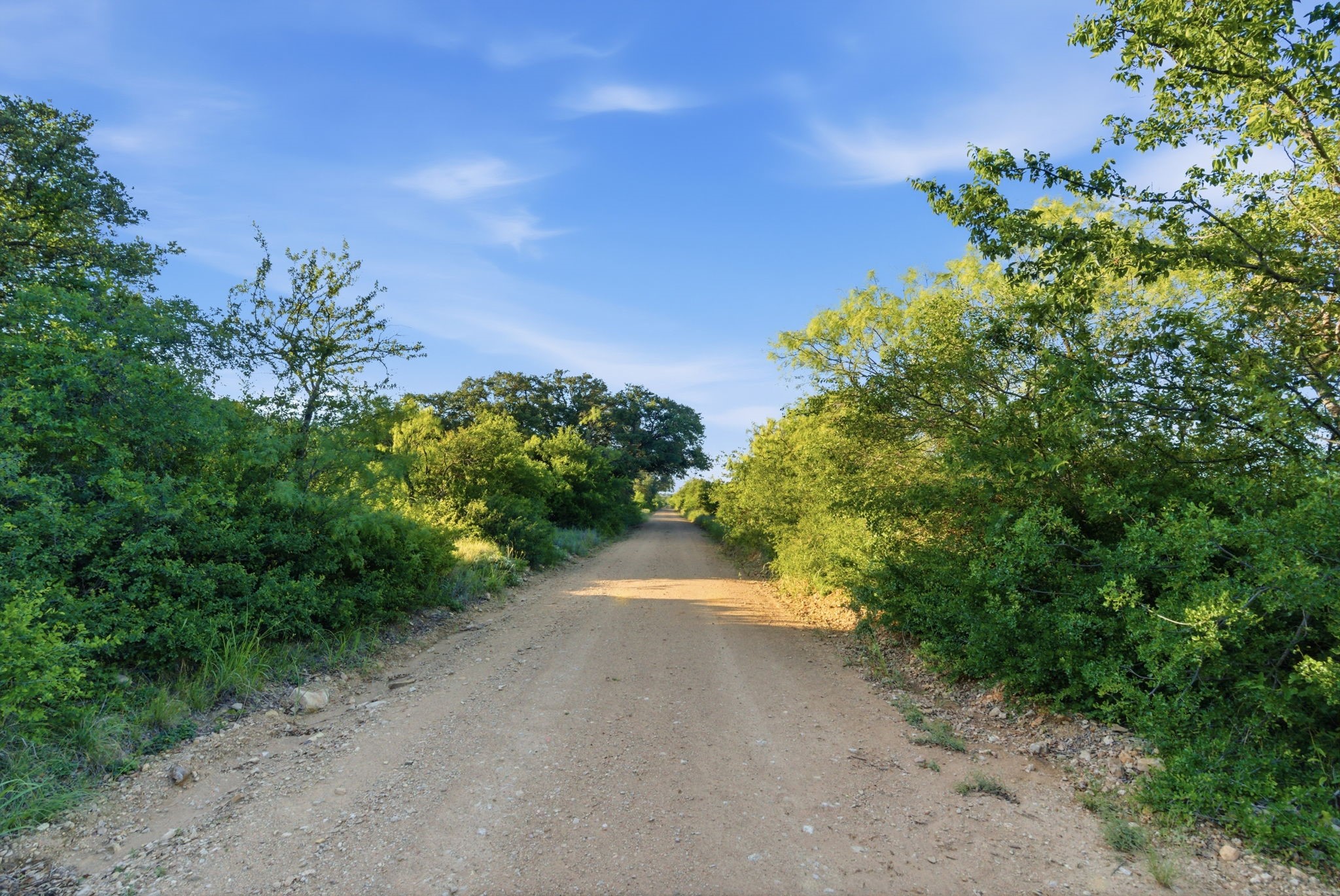 1343 County Road 188 Cross Plains TX 76443