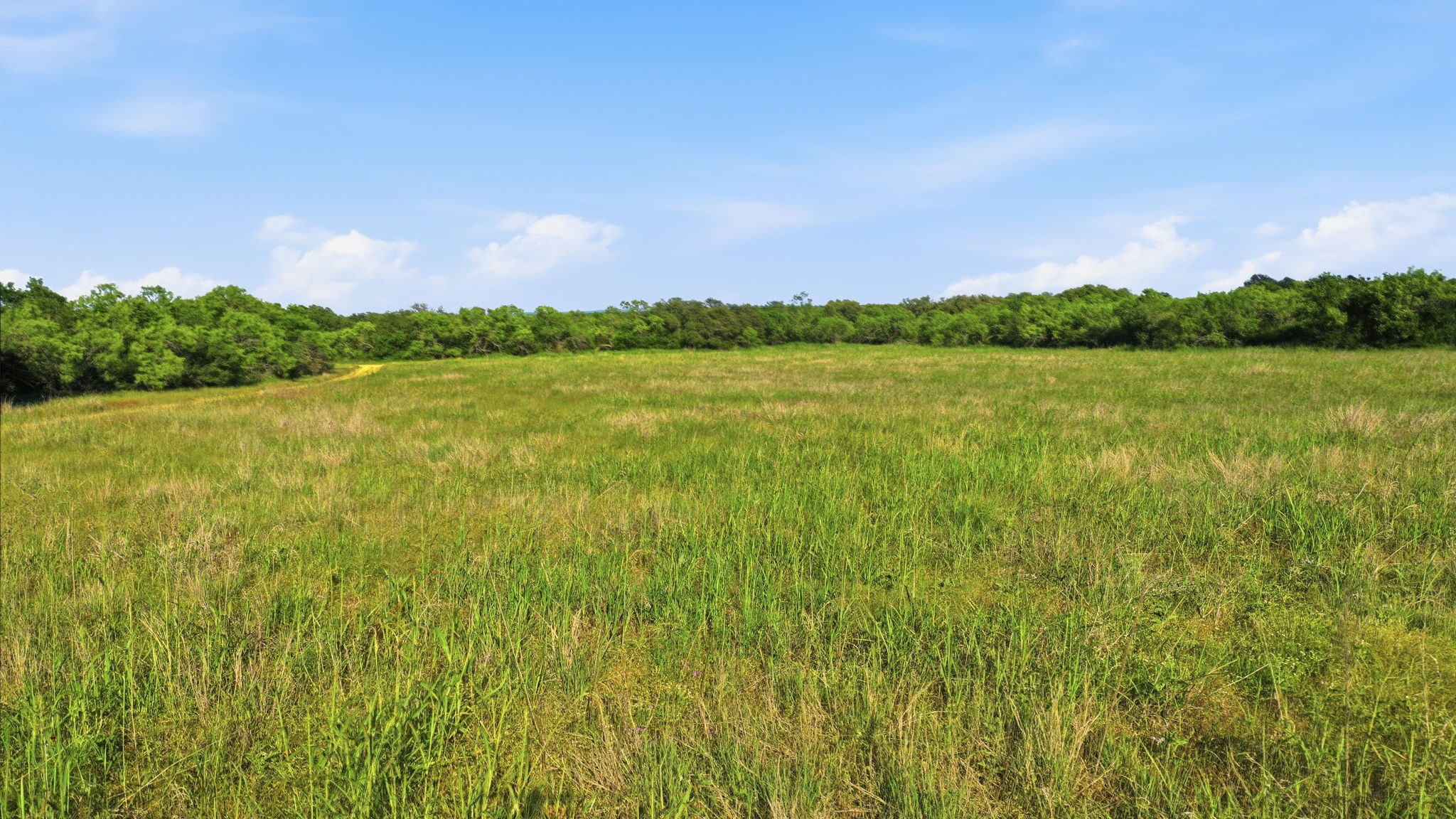1343 County Road 188 Cross Plains TX 76443