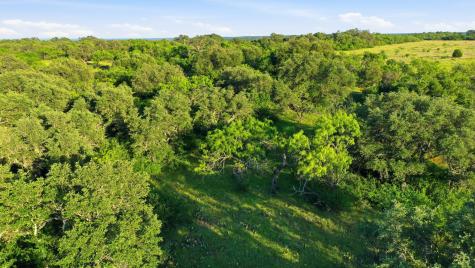1343 County Road 188 Cross Plains TX 76443
