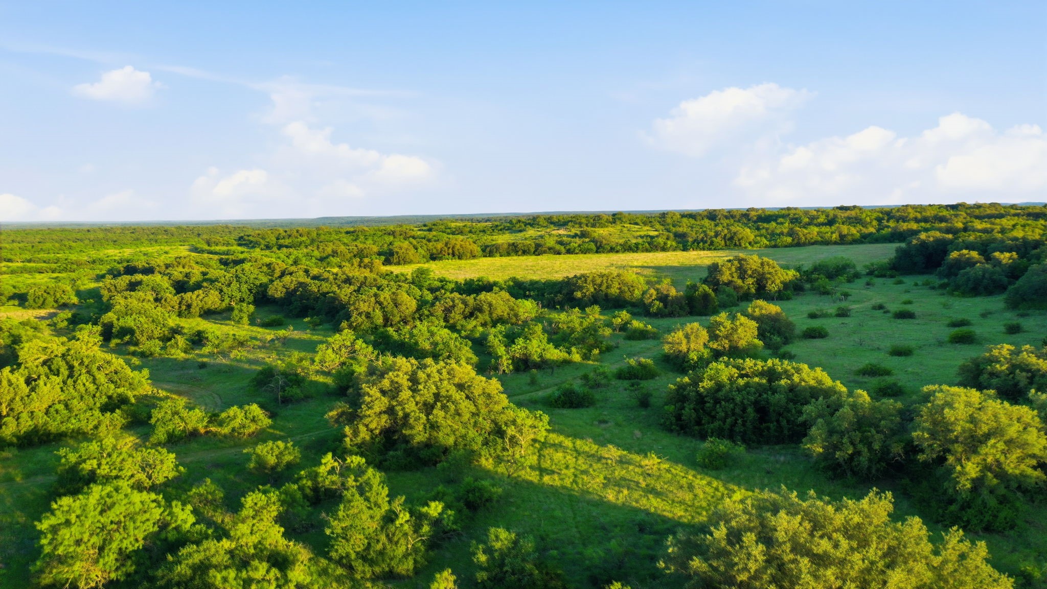 1343 County Road 188 Cross Plains TX 76443
