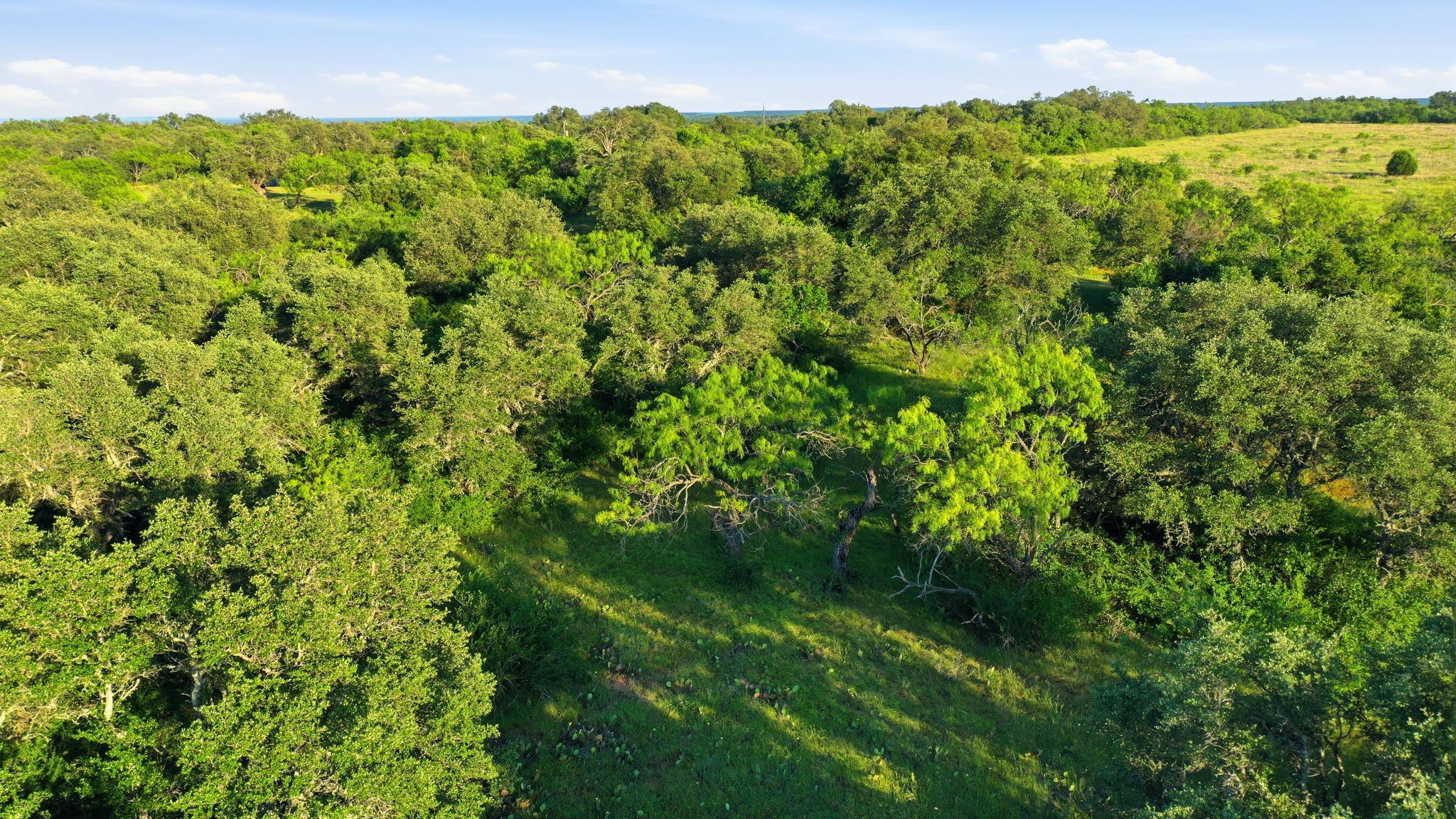 1343 County Road 188 Cross Plains TX 76443