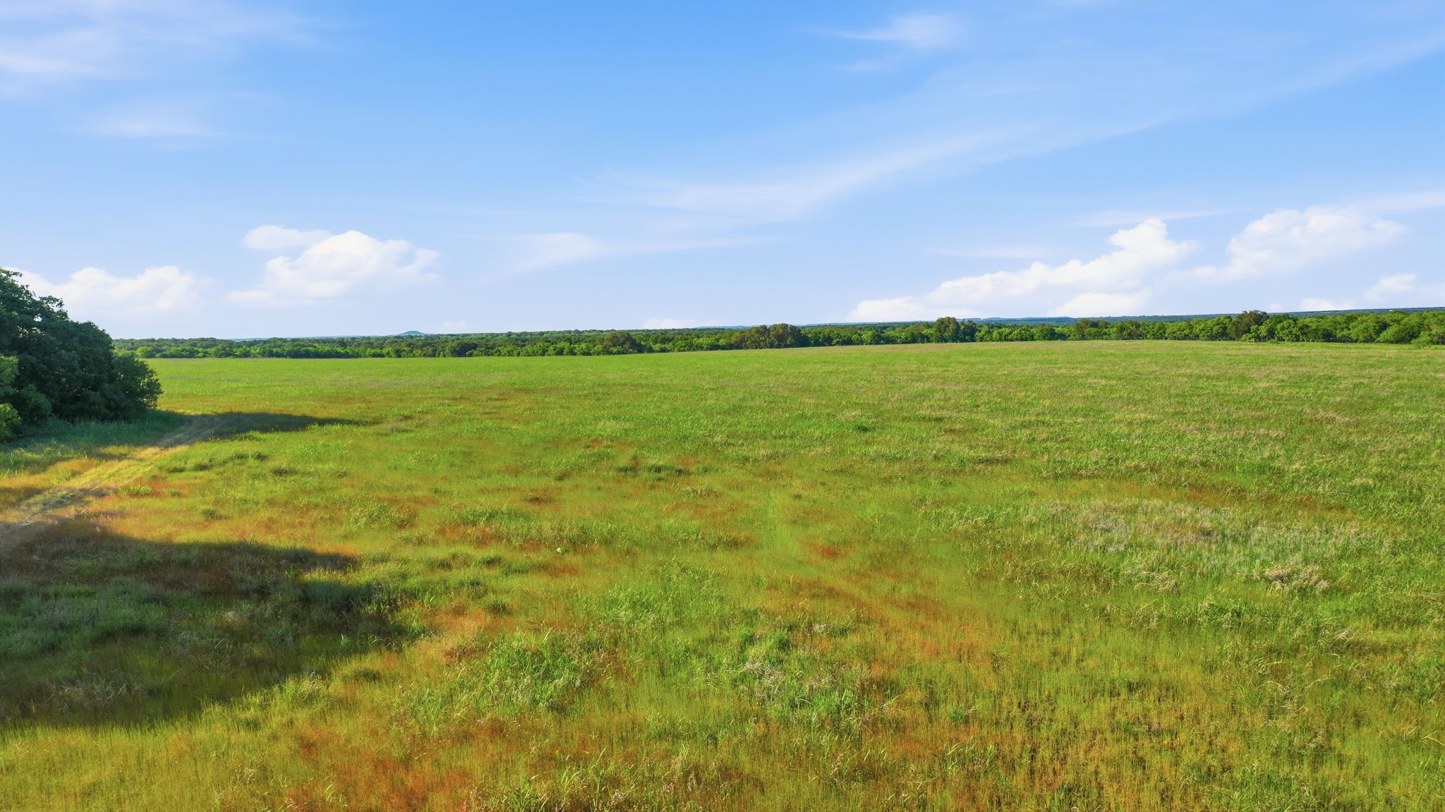 1343 County Road 188 Cross Plains TX 76443