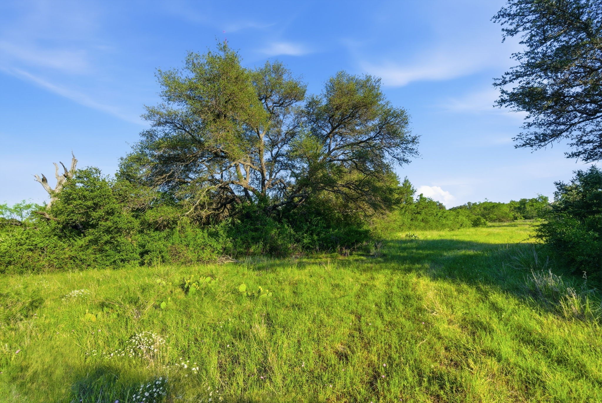 1343 County Road 188 Cross Plains TX 76443