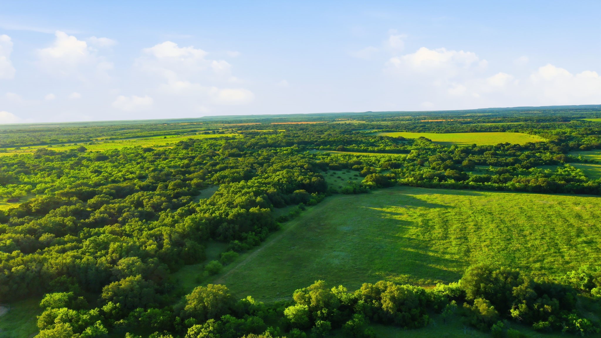 1343 County Road 188 Cross Plains TX 76443