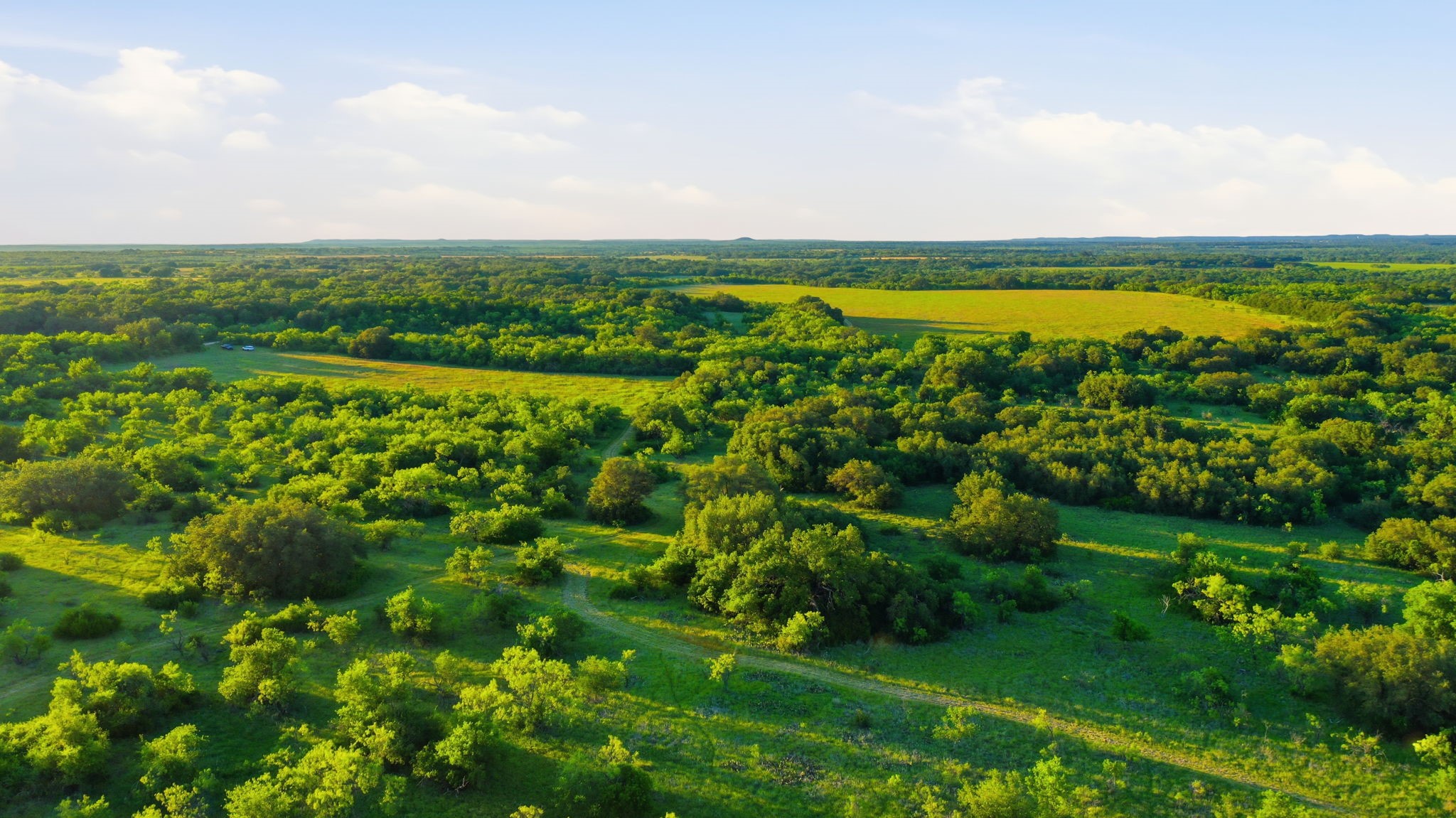 1343 County Road 188 Cross Plains TX 76443