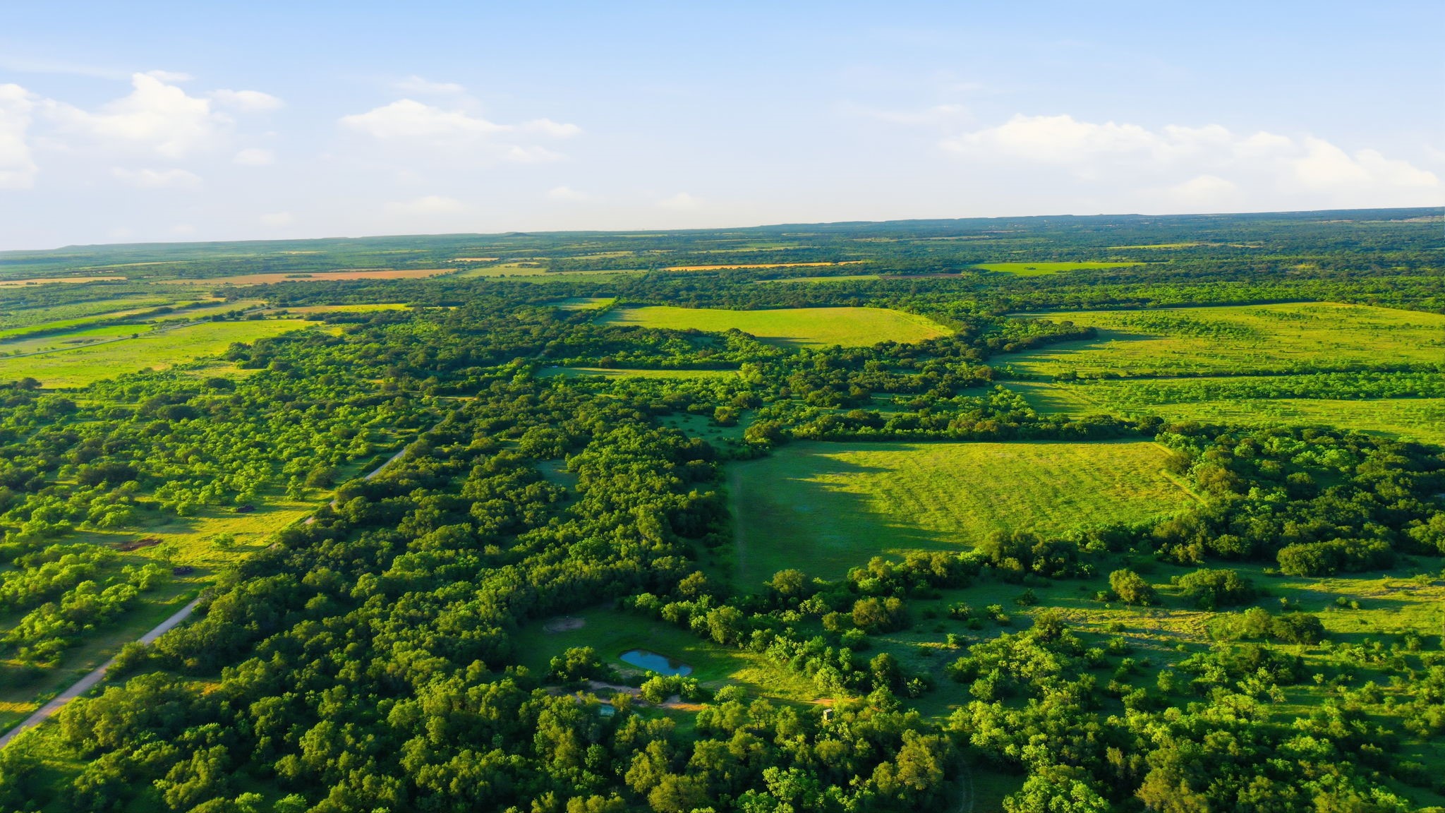 1343 County Road 188 Cross Plains TX 76443