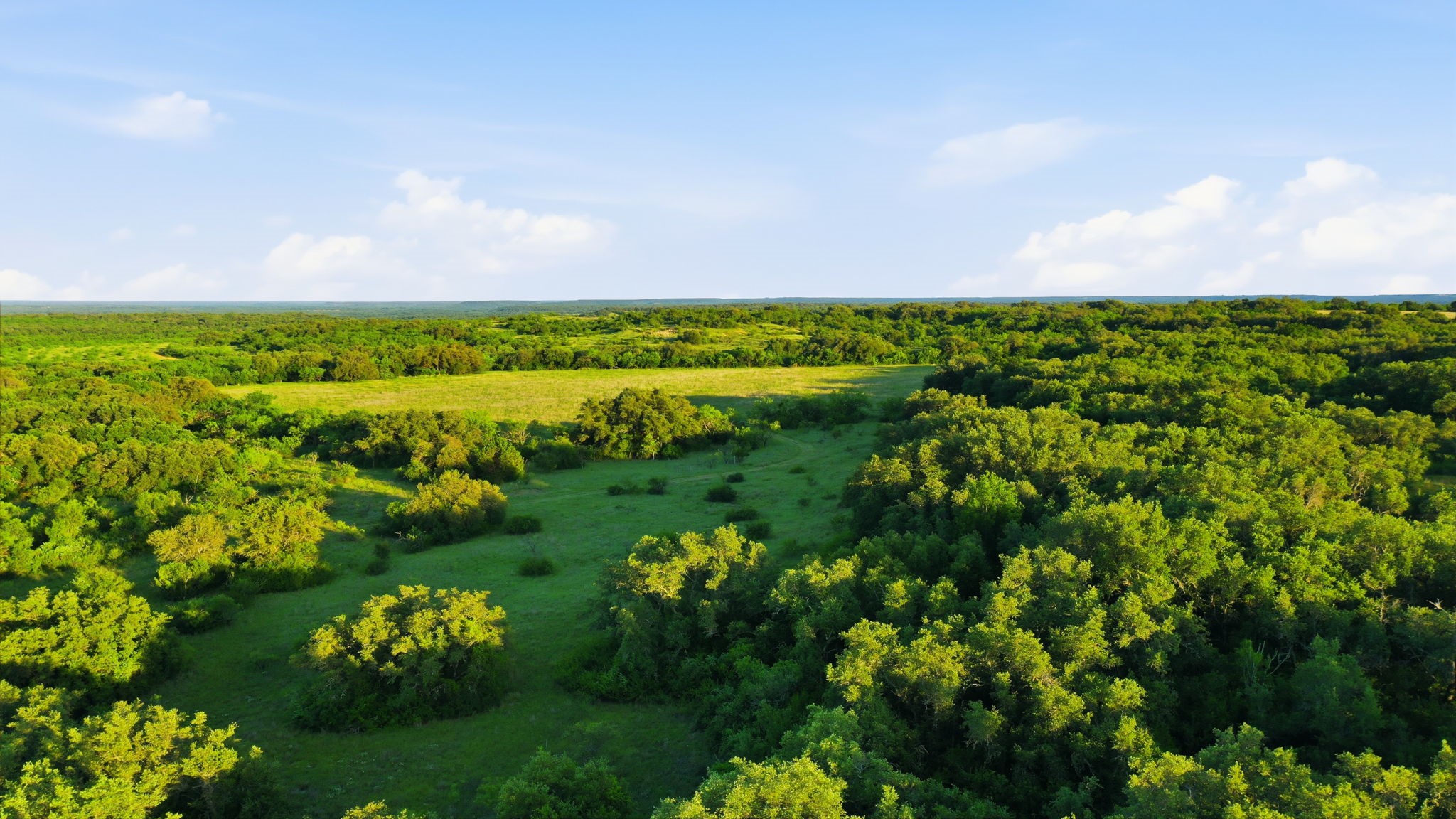 1343 County Road 188 Cross Plains TX 76443