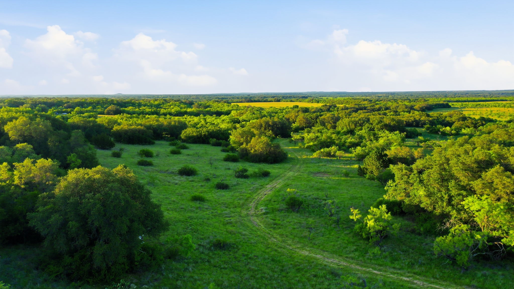 1343 County Road 188 Cross Plains TX 76443