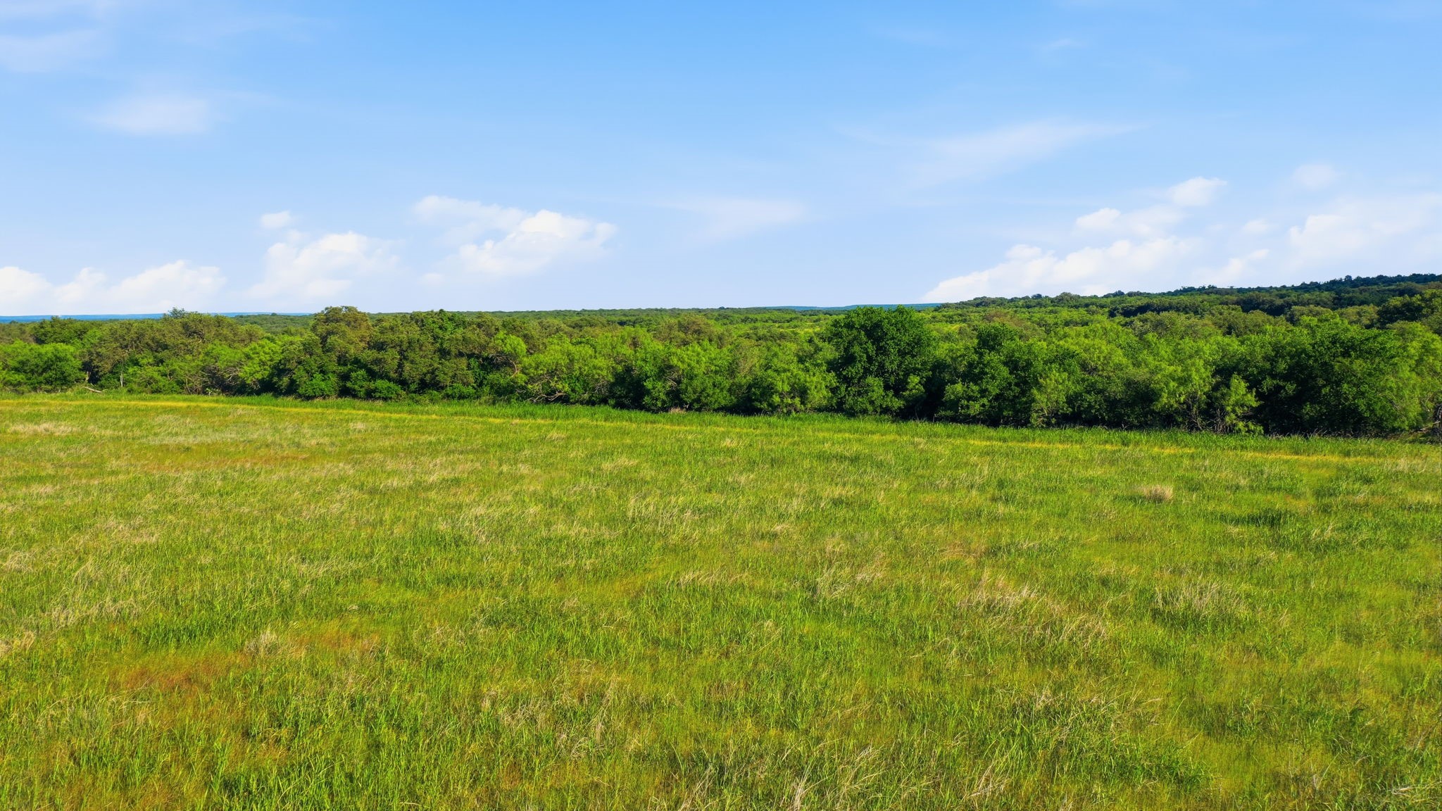 1343 County Road 188 Cross Plains TX 76443