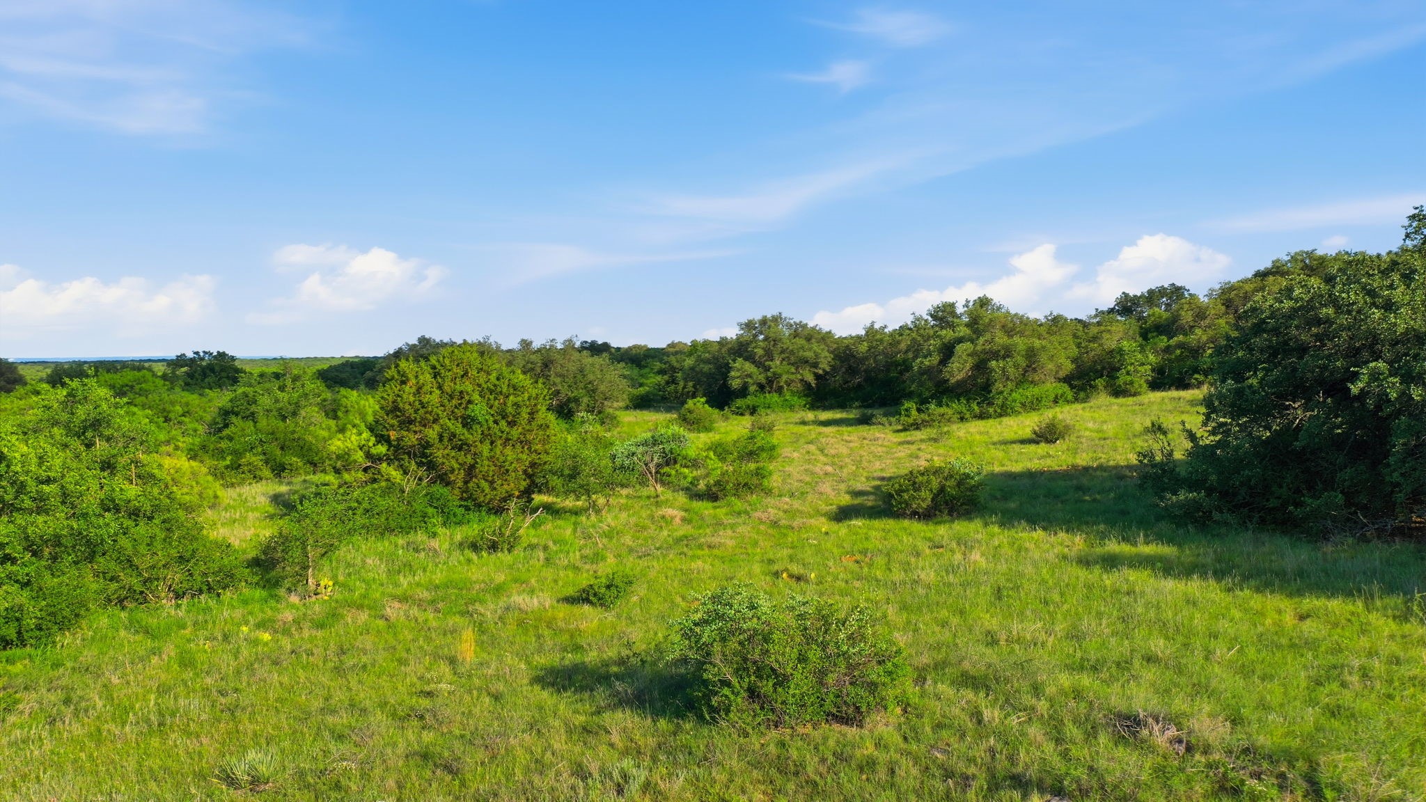 1343 County Road 188 Cross Plains TX 76443