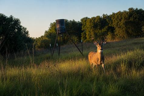 1343 County Road 188 Cross Plains TX 76443