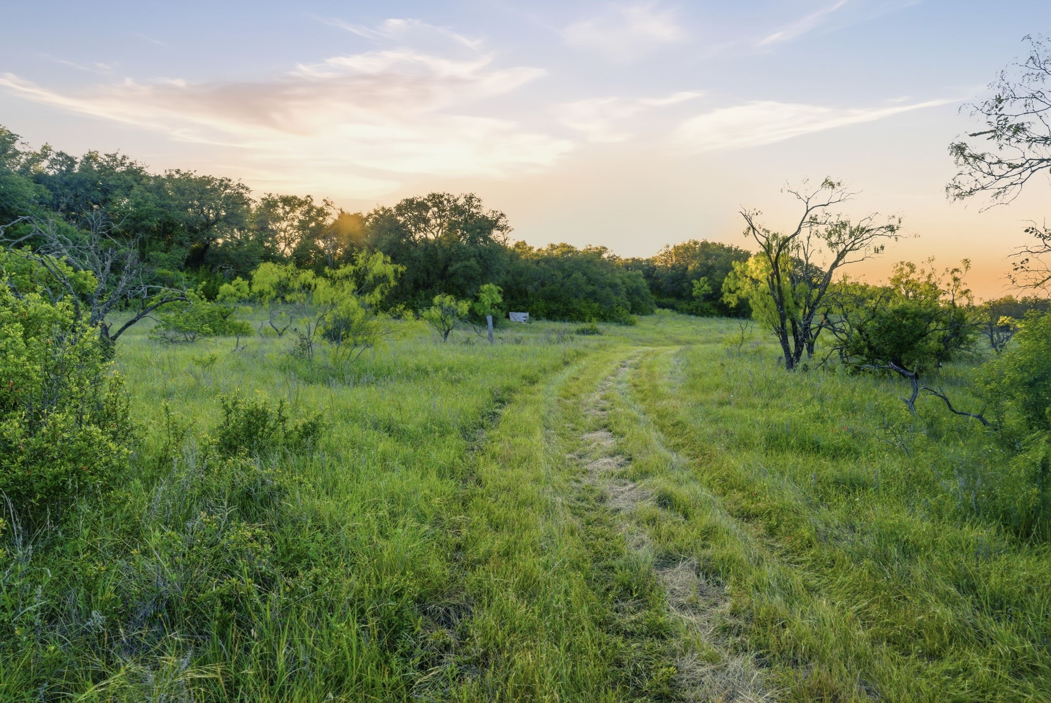 1343 County Road 188 Cross Plains TX 76443