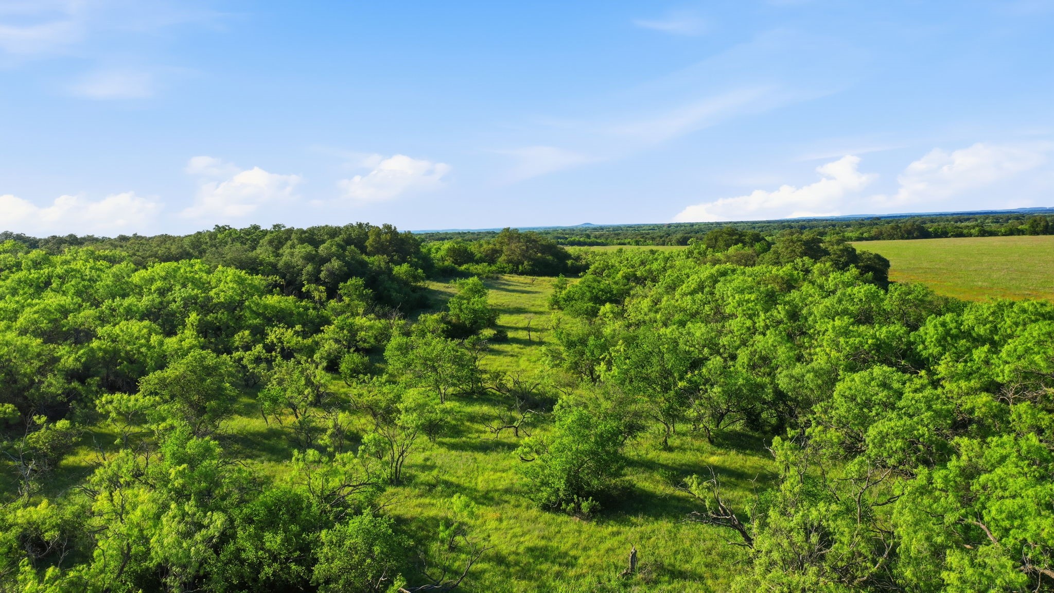 1343 County Road 188 Cross Plains TX 76443