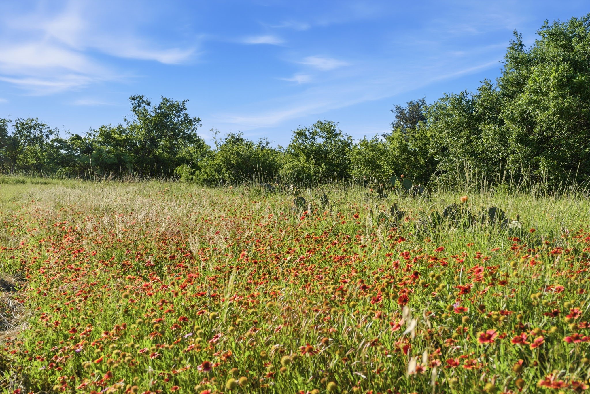 1343 County Road 188 Cross Plains TX 76443