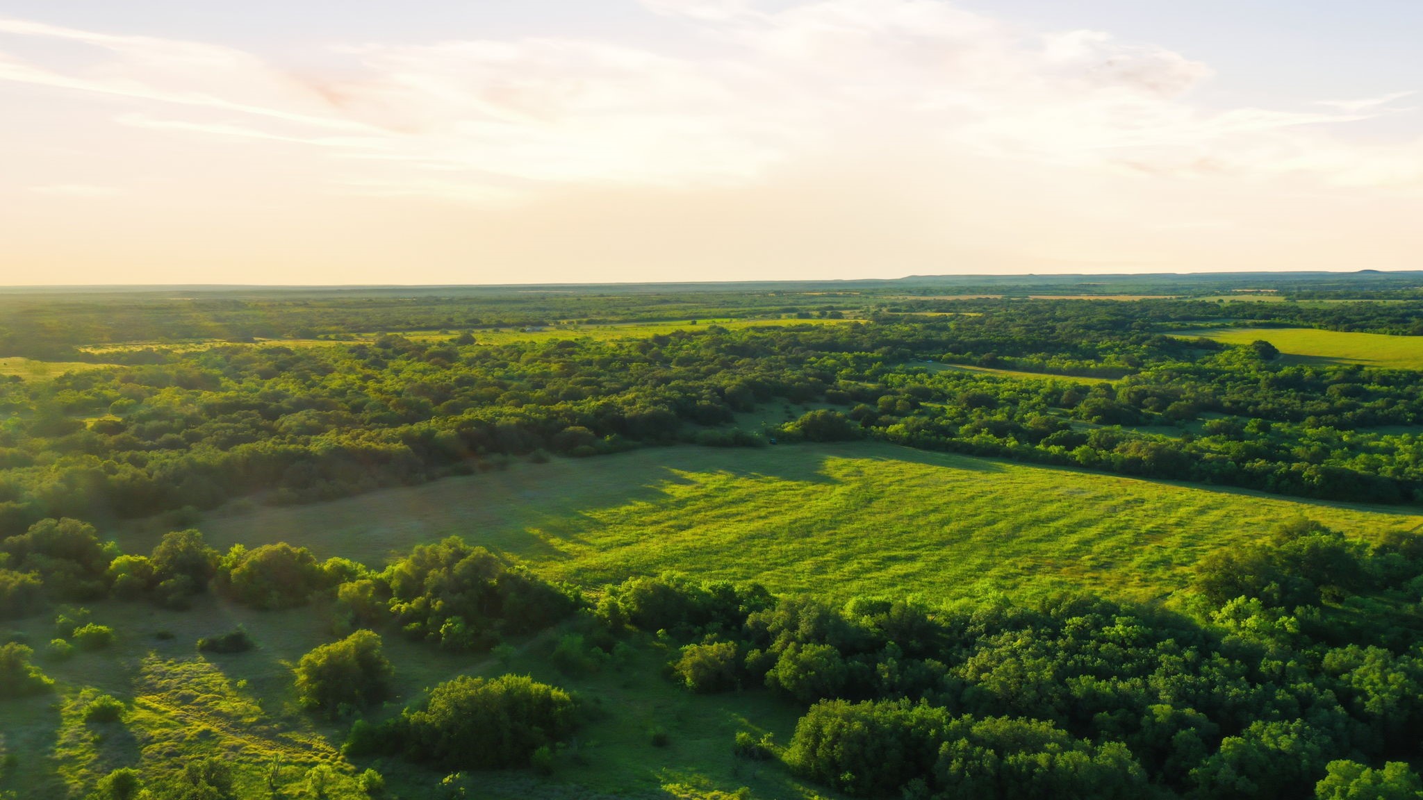 1343 County Road 188 Cross Plains TX 76443