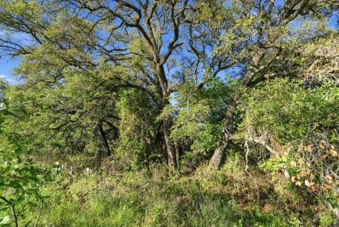 1343 County Road 188 Cross Plains TX 76443