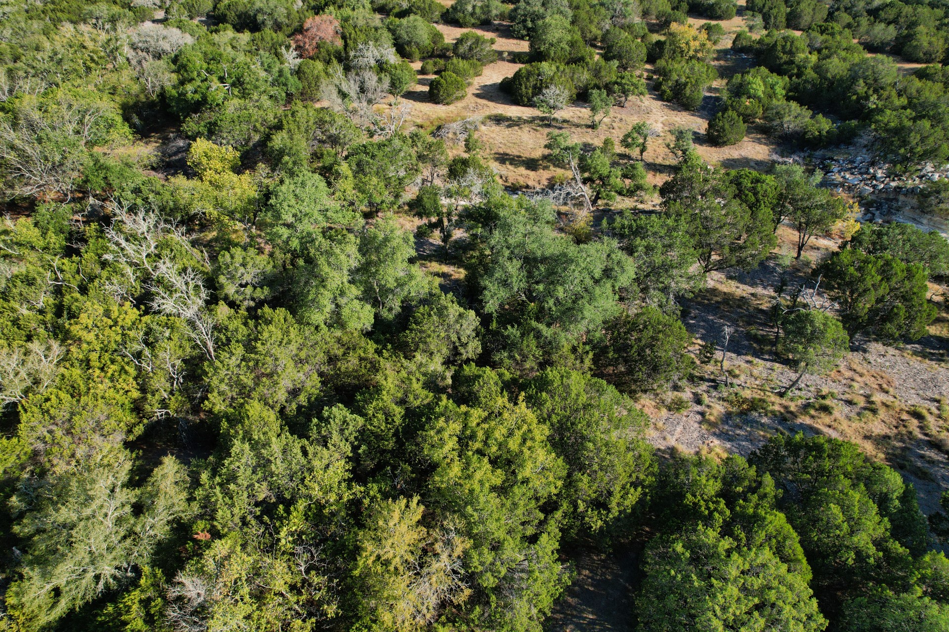 5255 Private Road 42125 Evant TX 76525