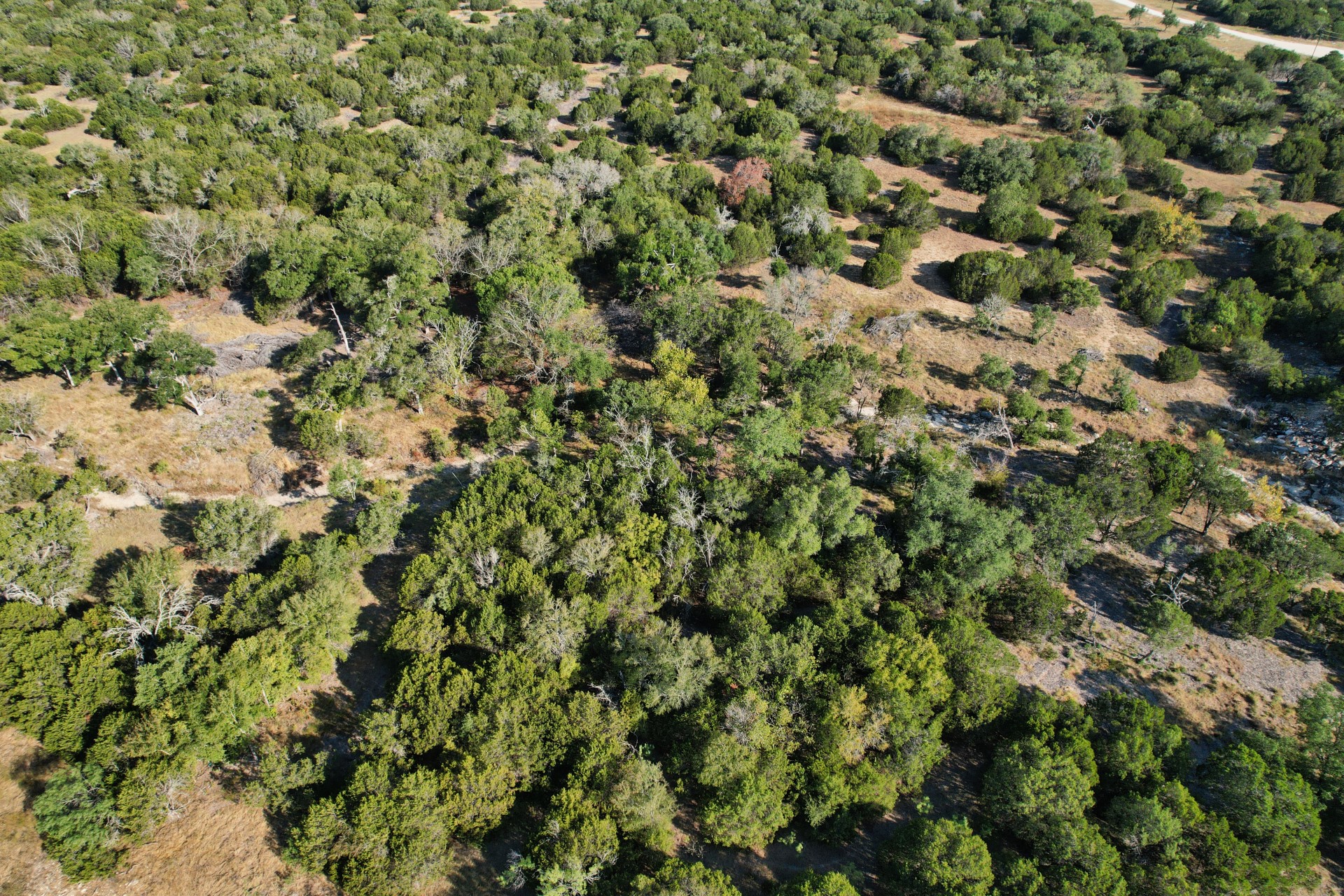 5255 Private Road 42125 Evant TX 76525