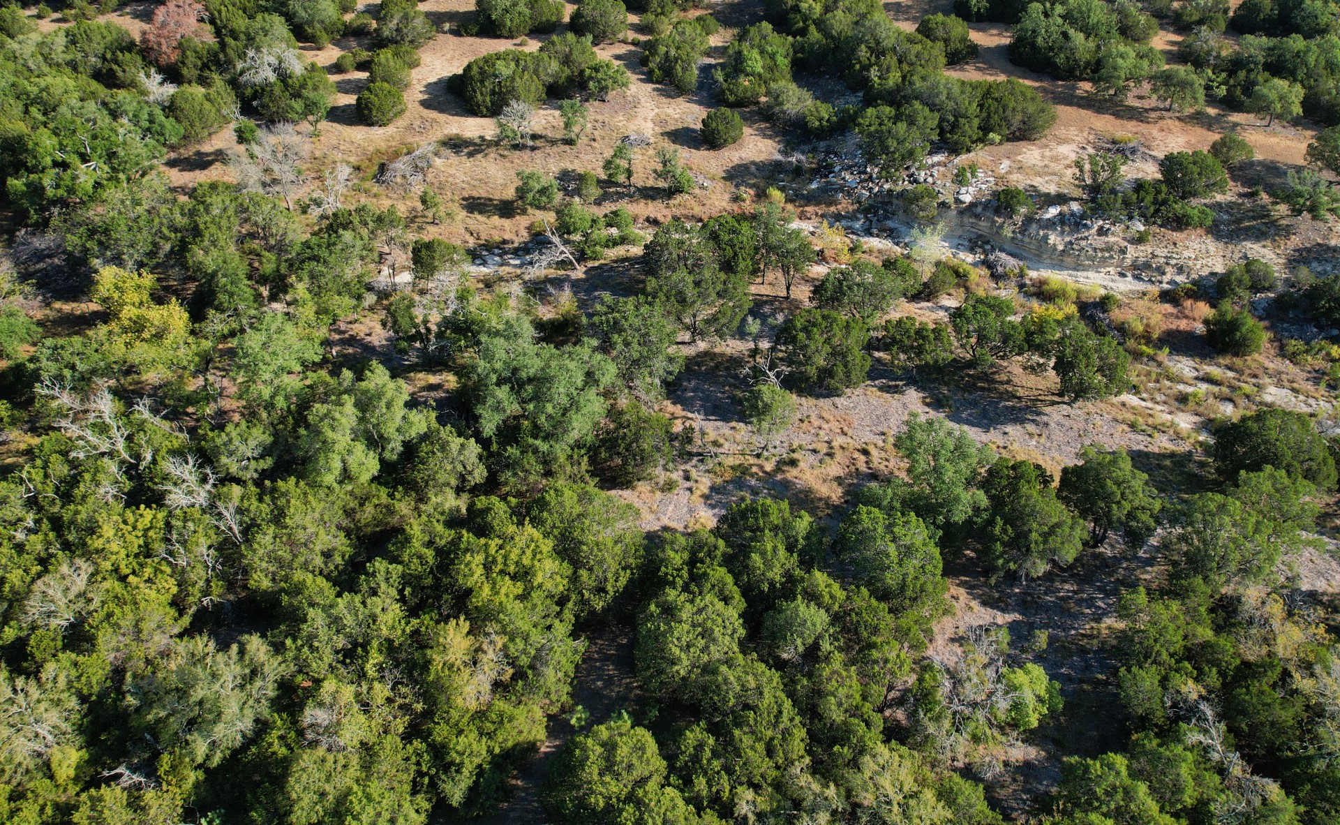 5255 Private Road 42125 Evant TX 76525