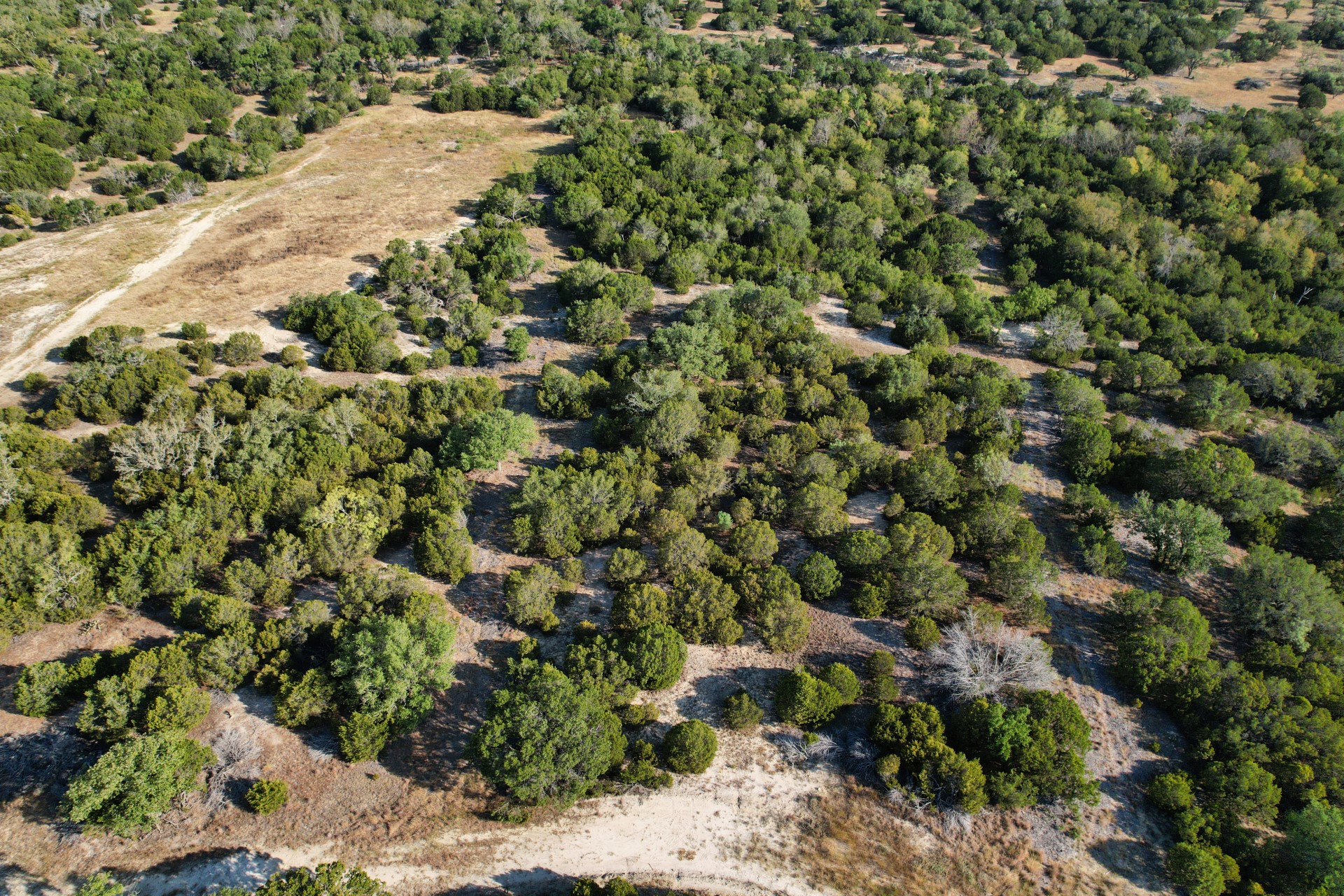 5255 Private Road 42125 Evant TX 76525