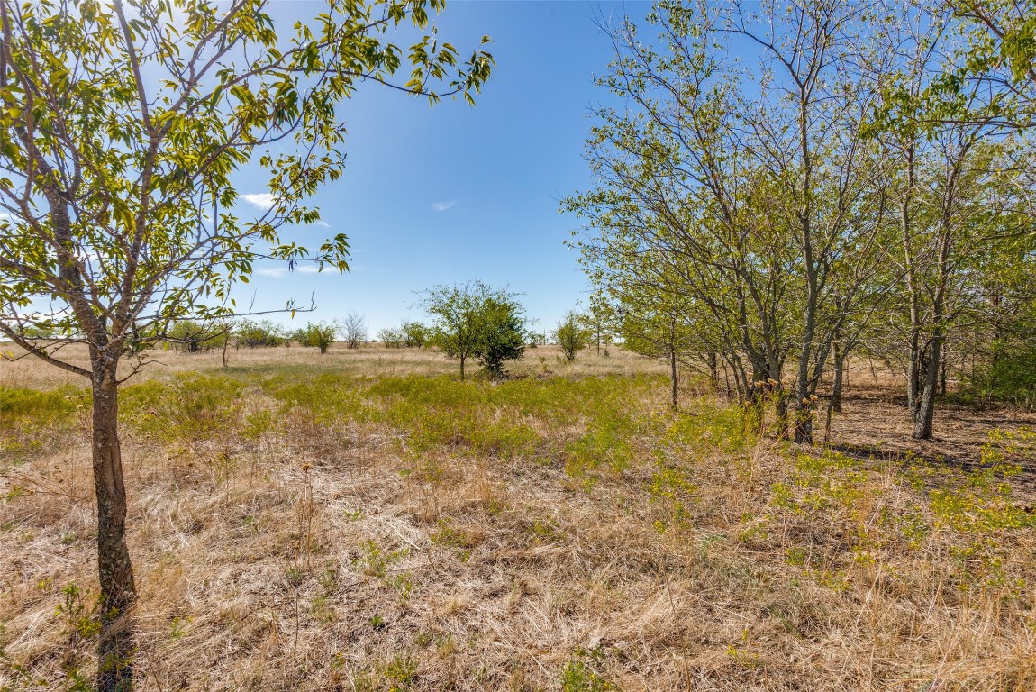 Tbd County Road 2735 Decatur TX 76234