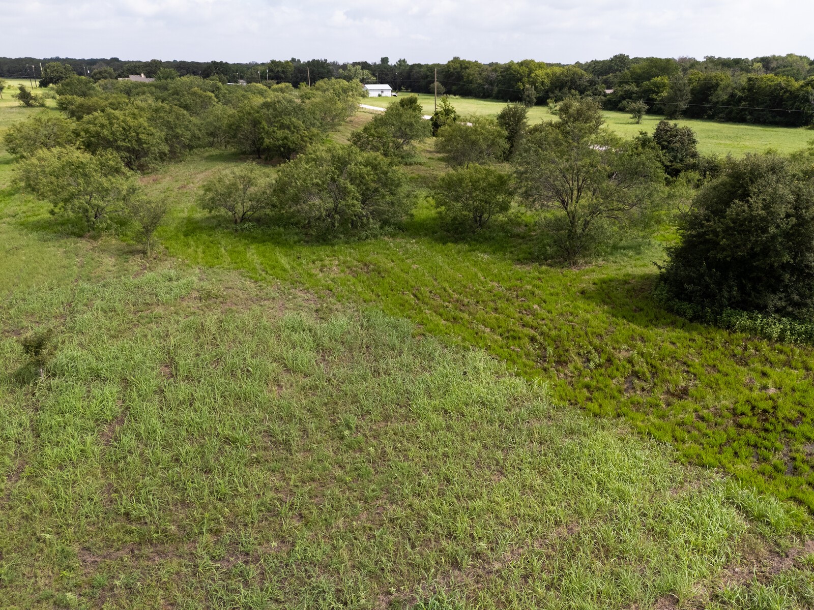 Tbd Hurst Road Axtell TX 76624
