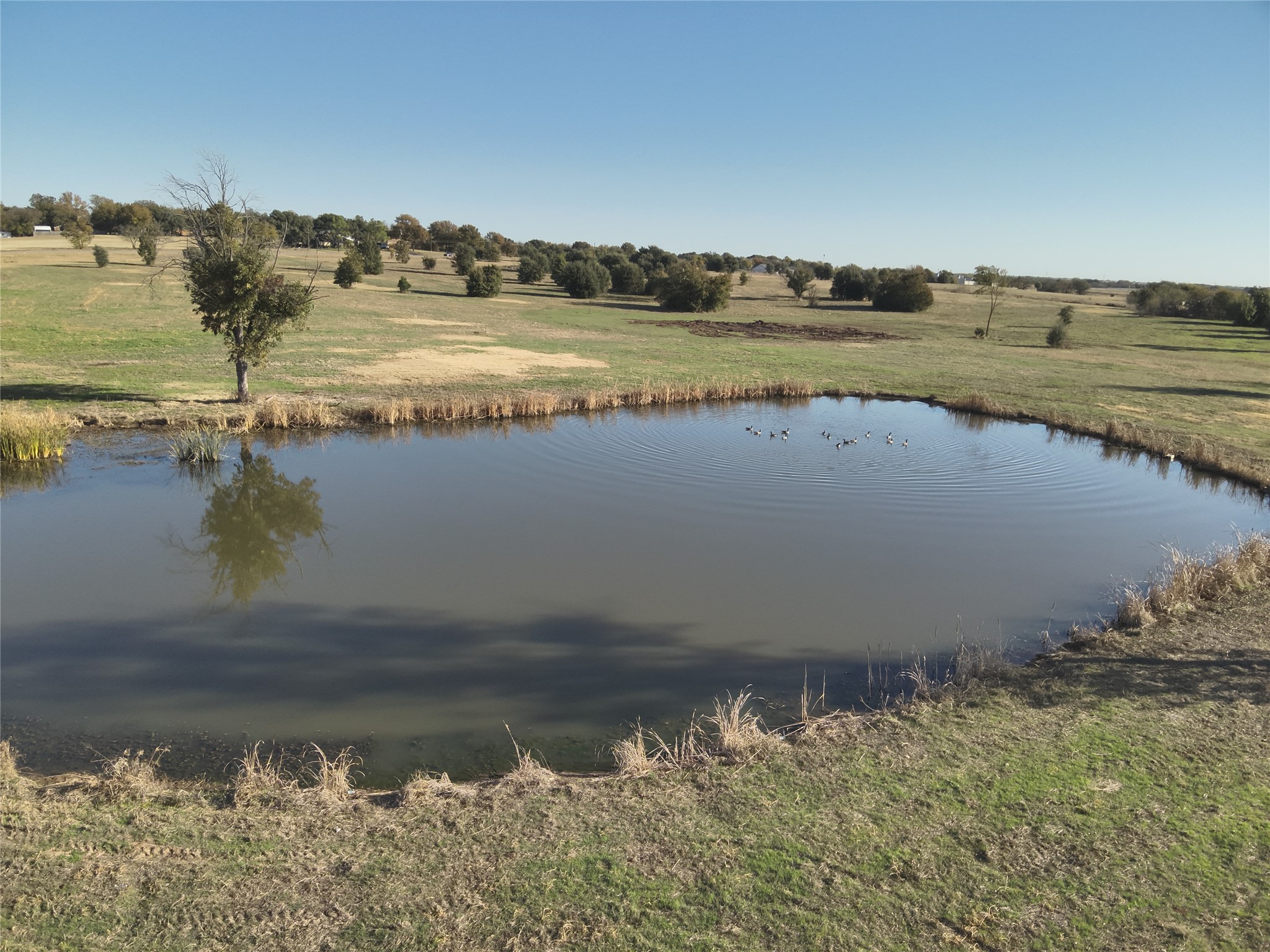 0 Tbd Lot 10 Spur 510 Henrietta TX 76365