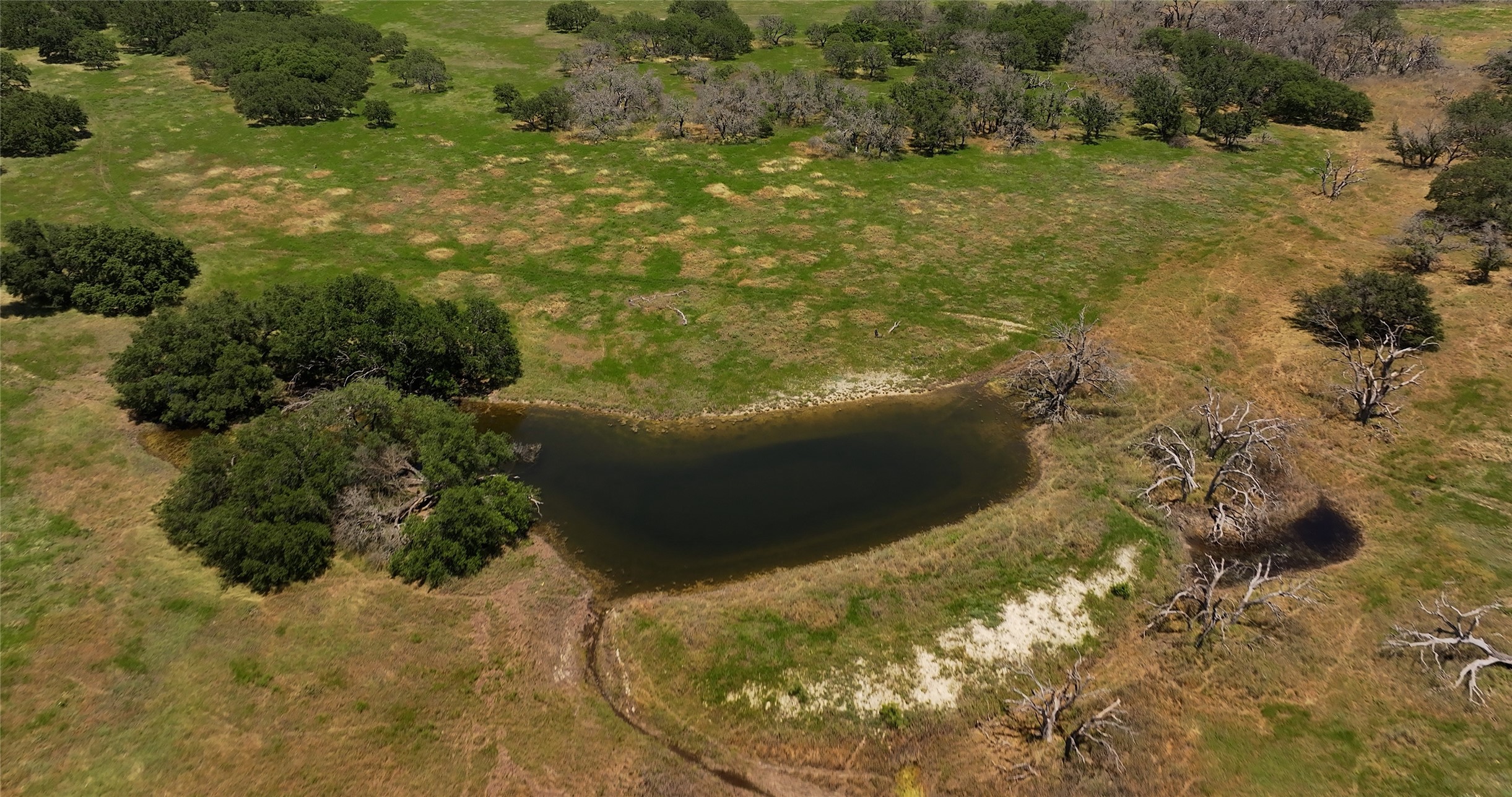 Tbd County Road 130 Goldthwaite TX 76866