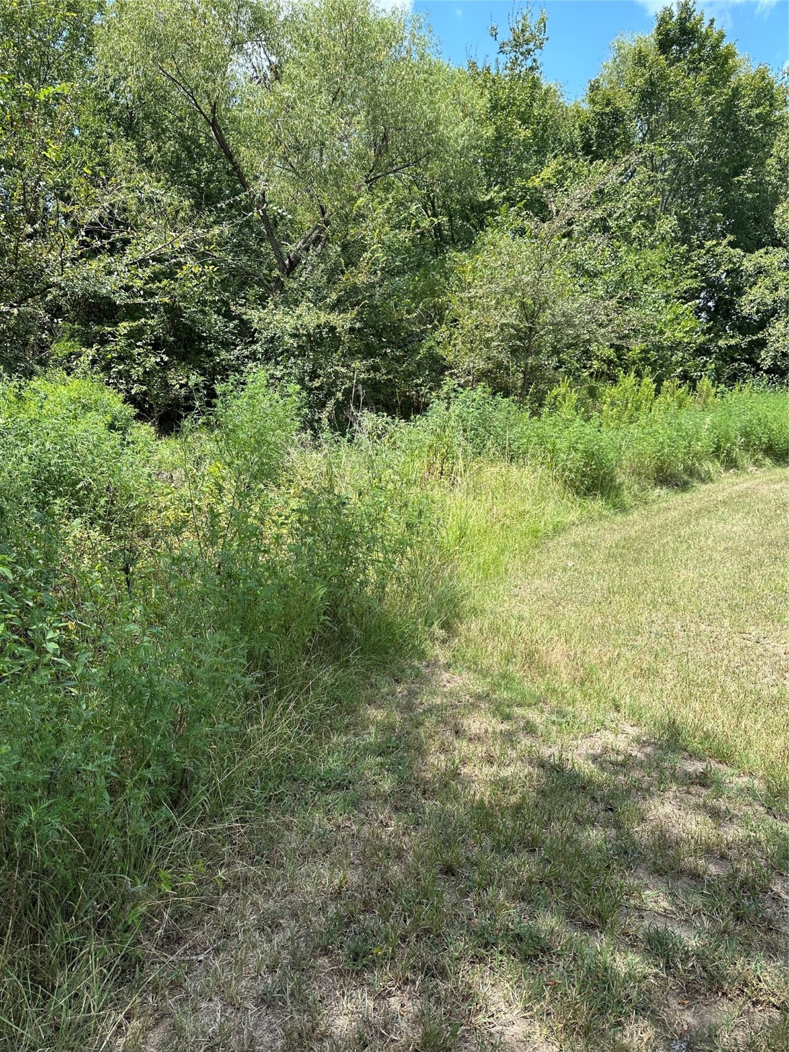 Tbd Vz County Road 1806 Grand Saline TX 75140