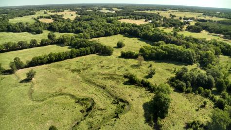 227 Ac Cr 1137 Lone Oak TX 75453