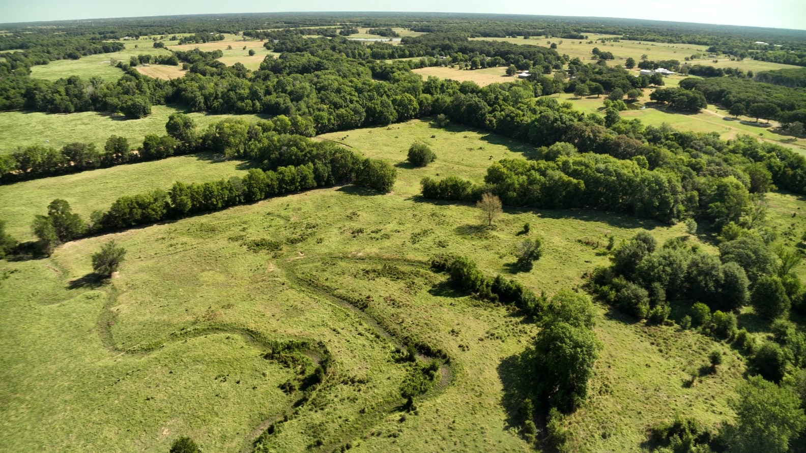 227 Ac Cr 1137 Lone Oak TX 75453