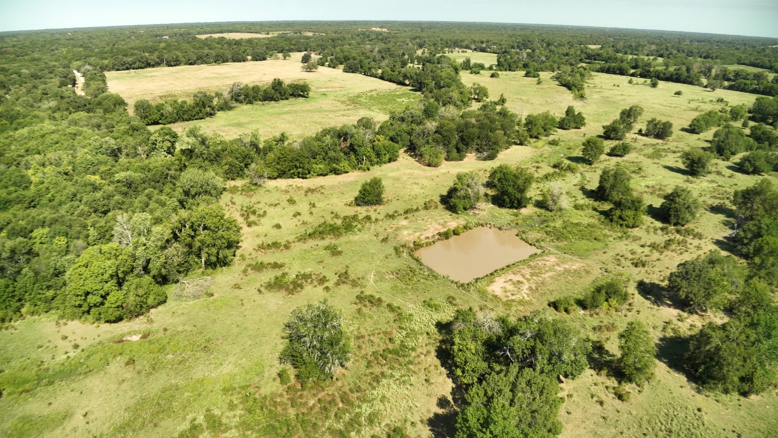 227 Ac Cr 1137 Lone Oak TX 75453