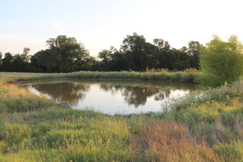 227 Ac Cr 1137 Lone Oak TX 75453