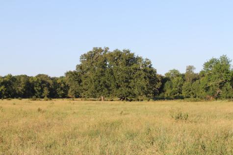 227 Ac Cr 1137 Lone Oak TX 75453